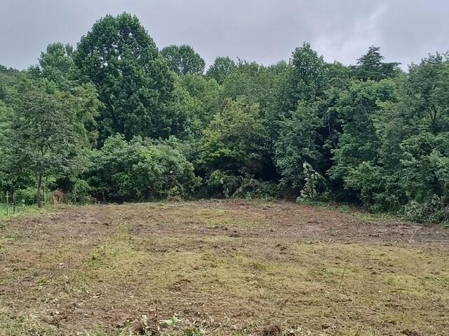 4821 Goddard Road Property Photo 1