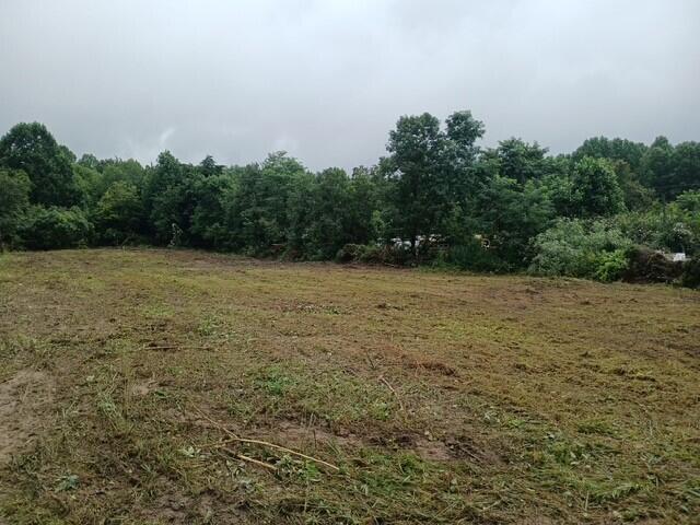 4821 Goddard Road Property Photo 2