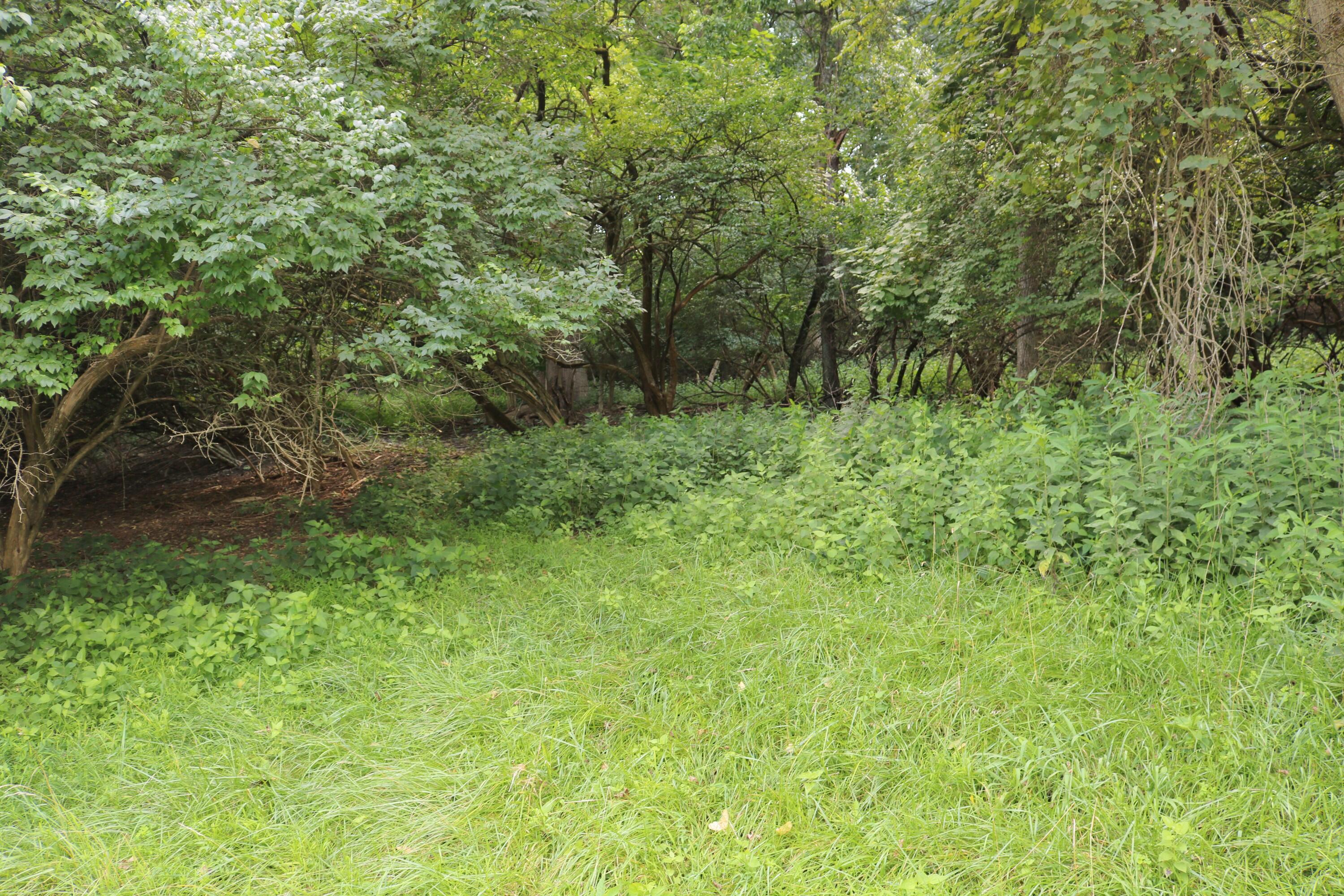 225 Ohio Avenue Property Photo 2