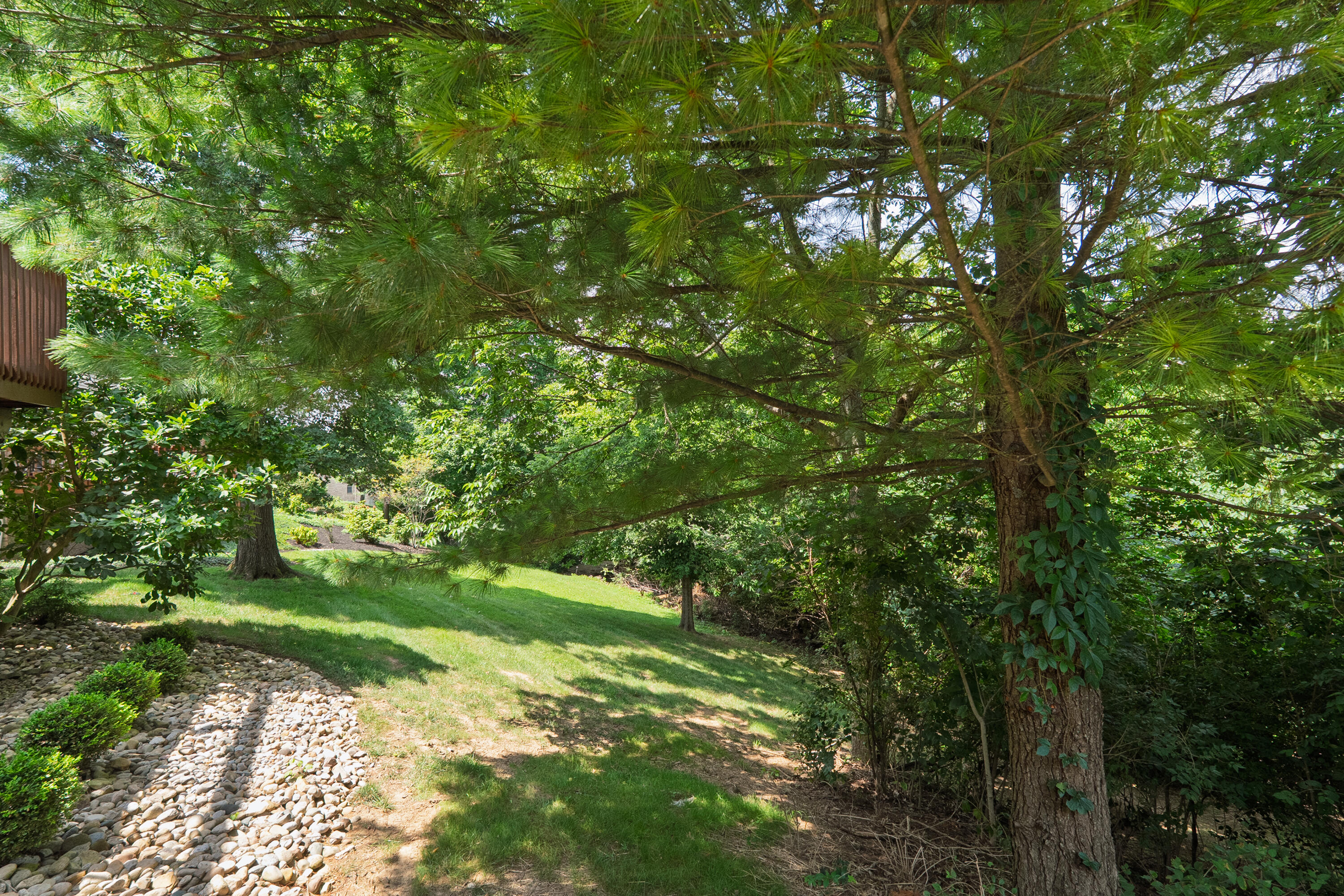136 Carriage Park Drive Property Photo 33