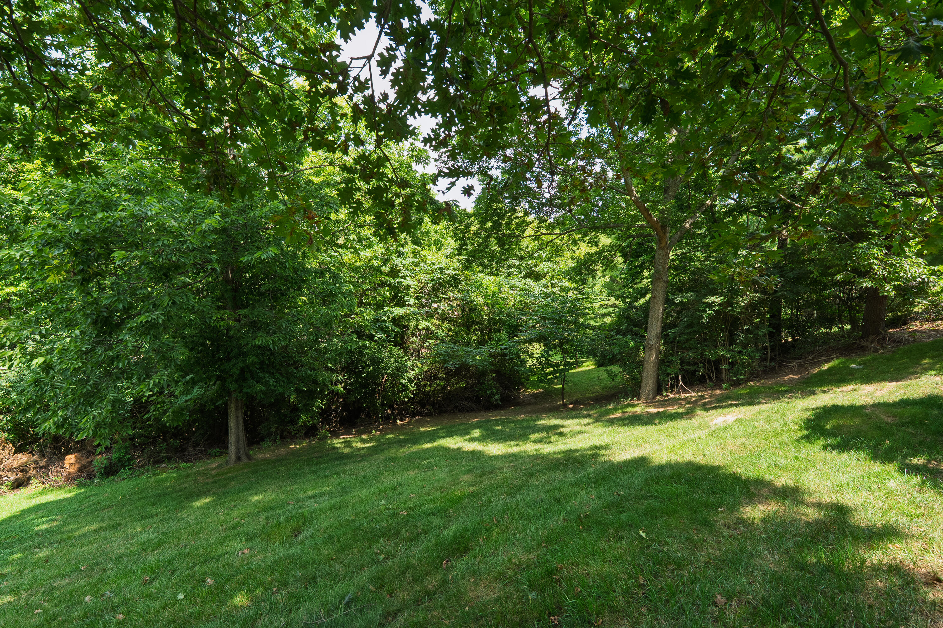 136 Carriage Park Drive Property Photo 34