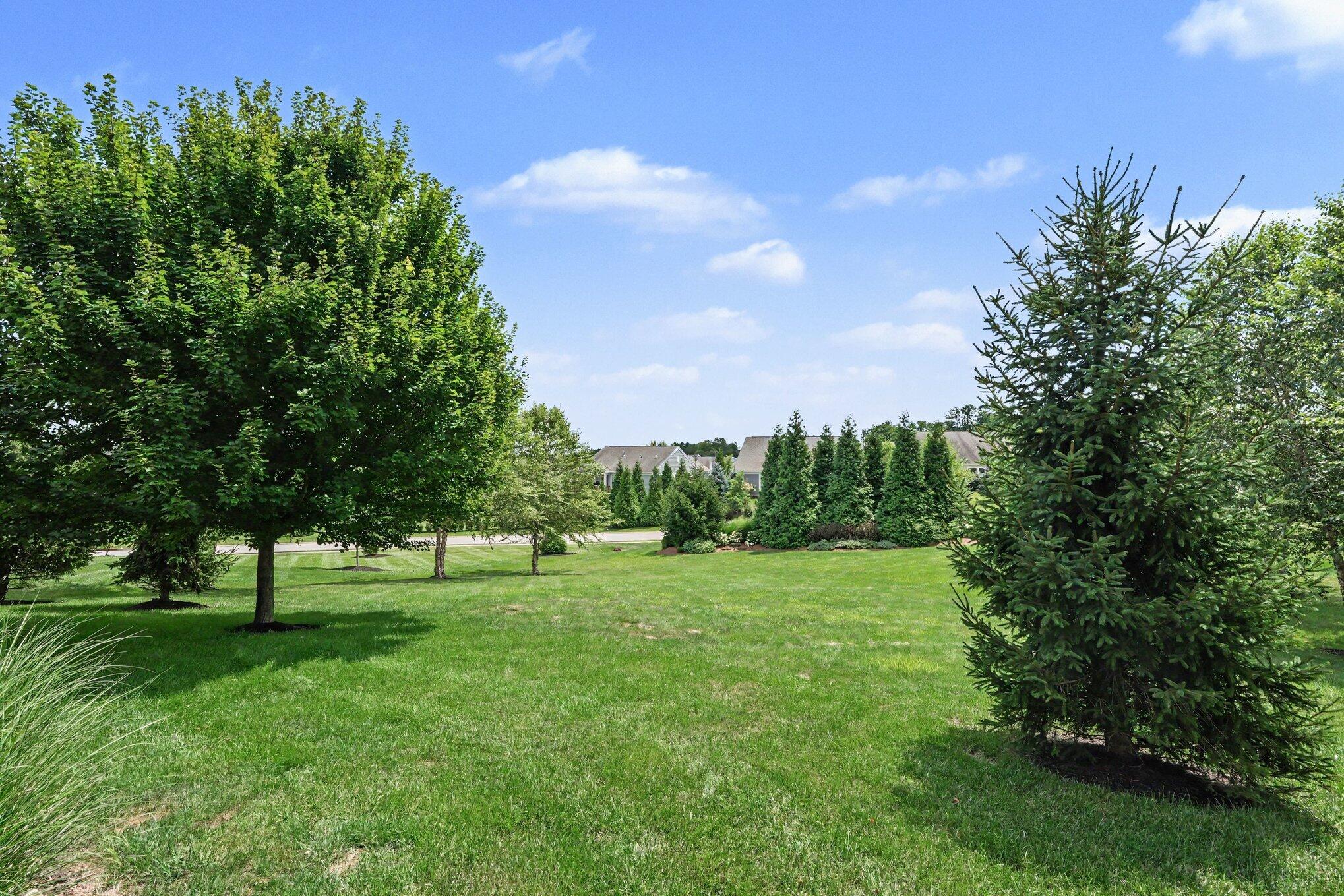1609 Big Brown Court Property Photo 40