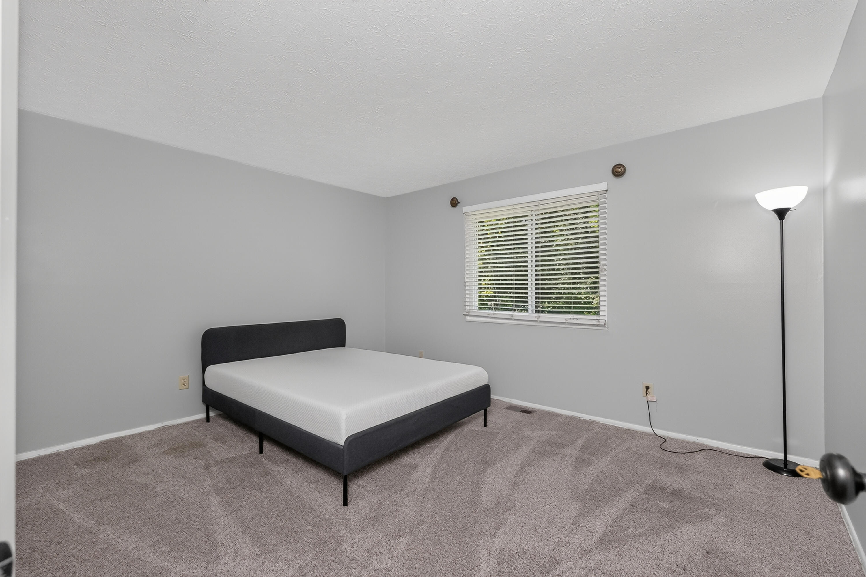 7786 Ravenswood Drive Property Photo 17