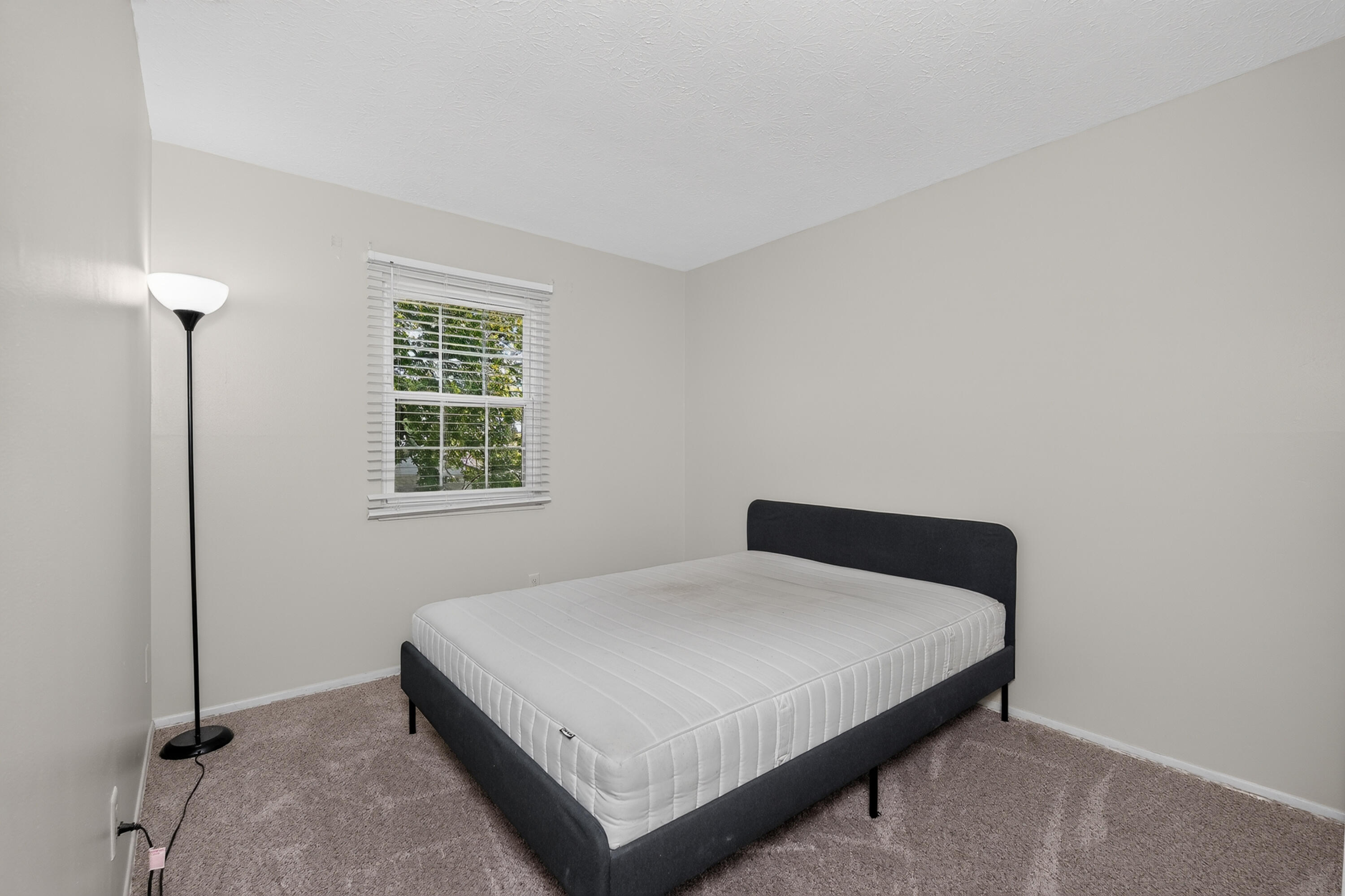 7786 Ravenswood Drive Property Photo 19