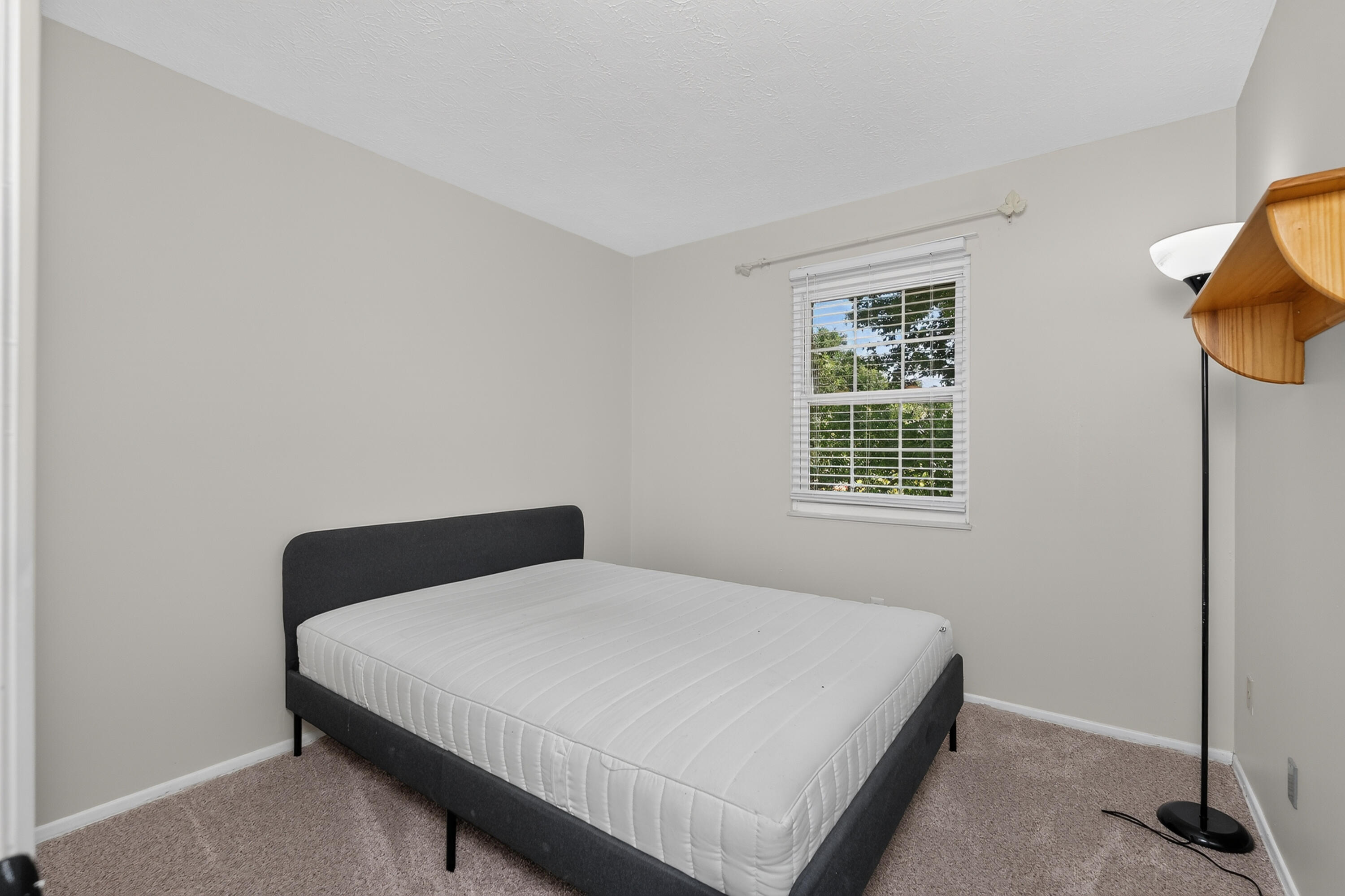 7786 Ravenswood Drive Property Photo 21