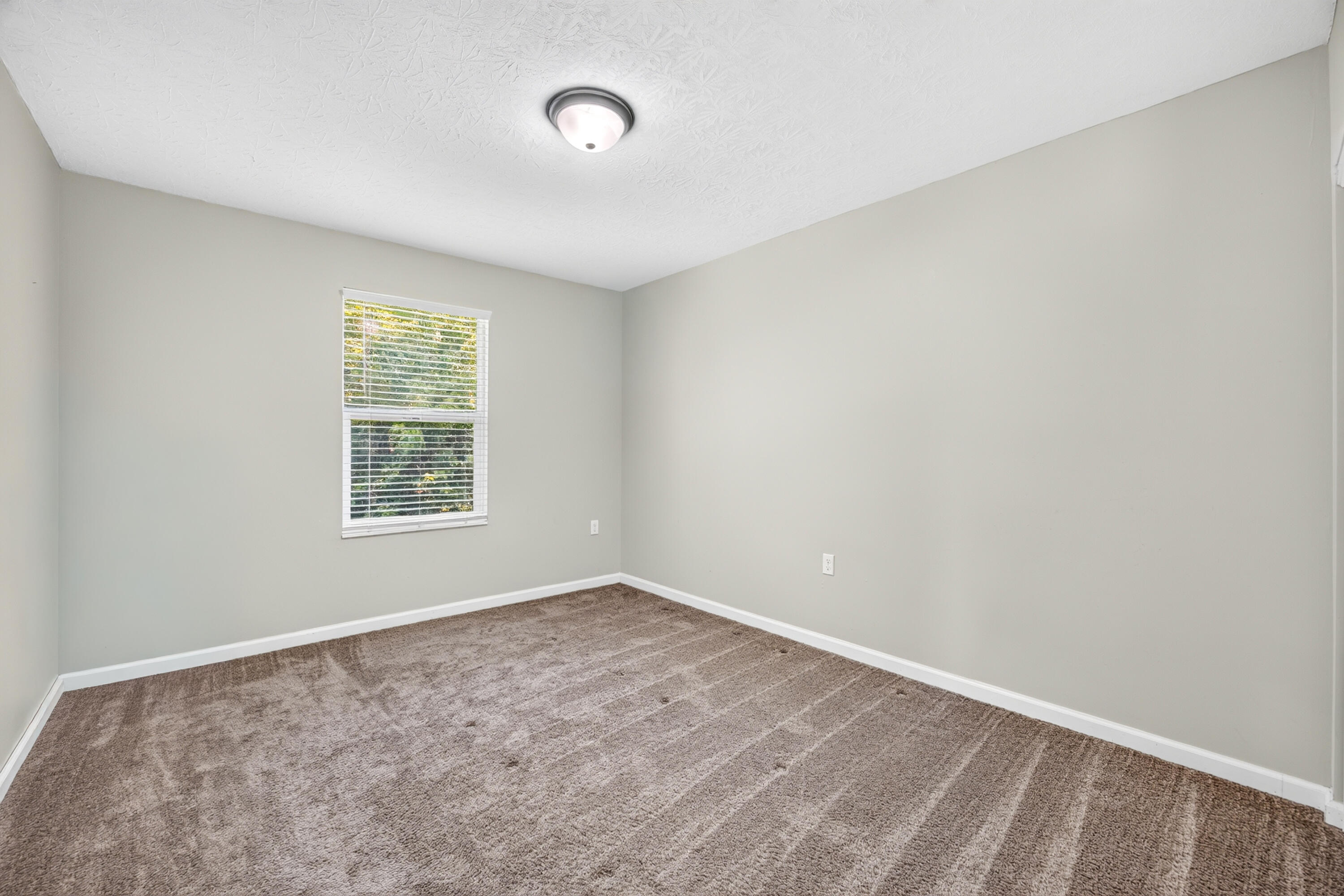 486 Forest Road Property Photo 18