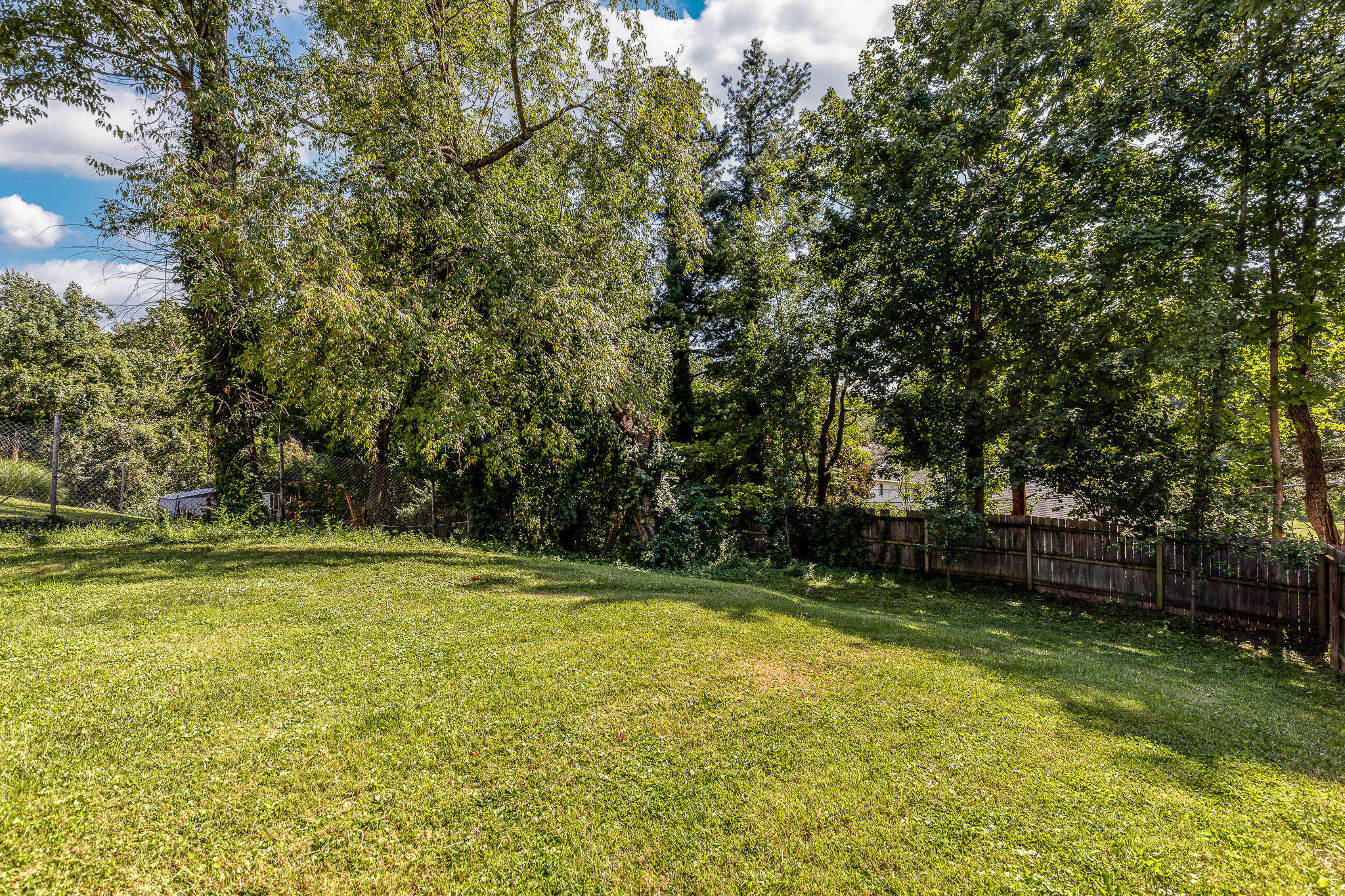 107 Morris Road Property Photo 25