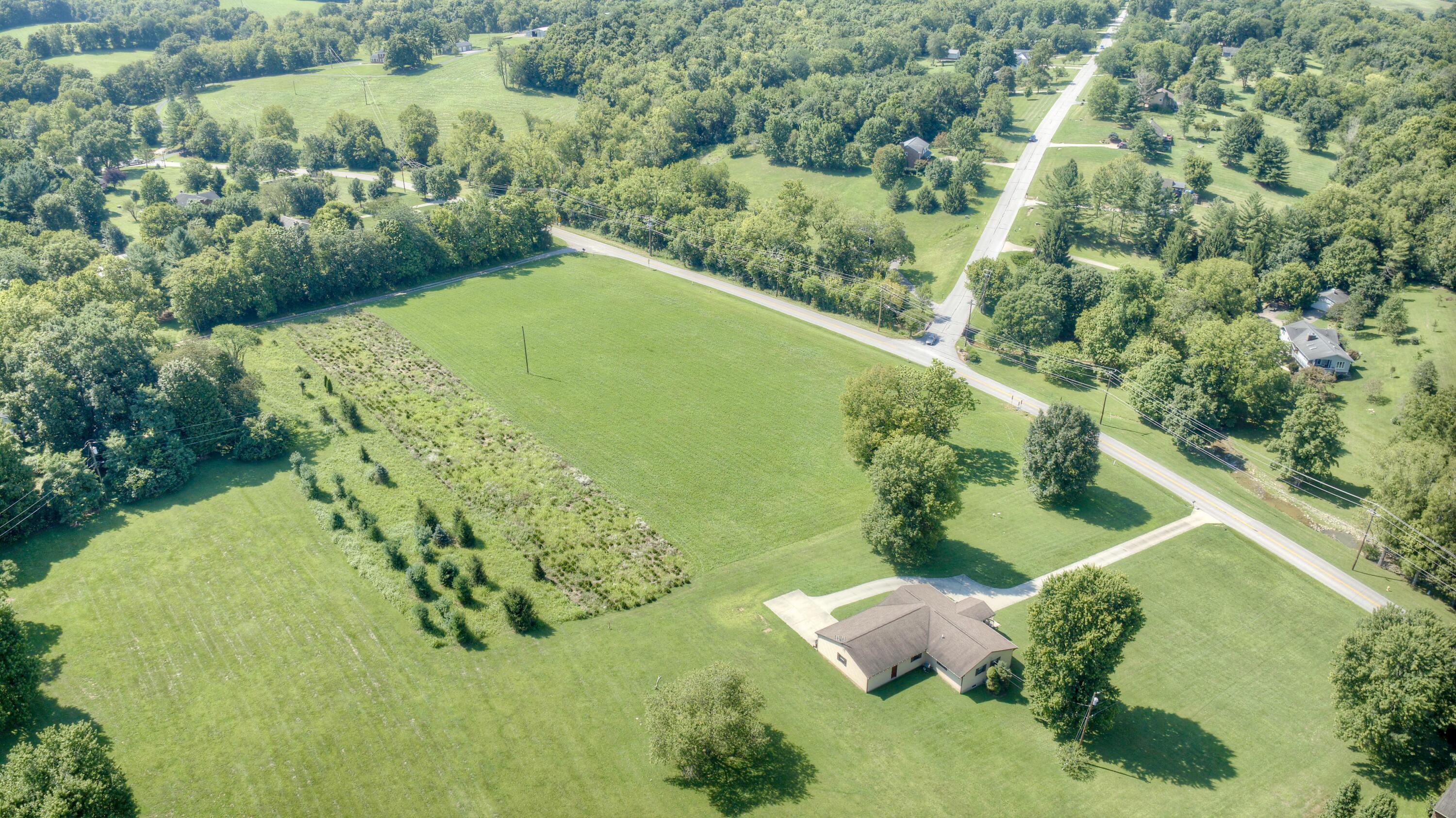 1.83 Acres Chambers Road Property Photo 11