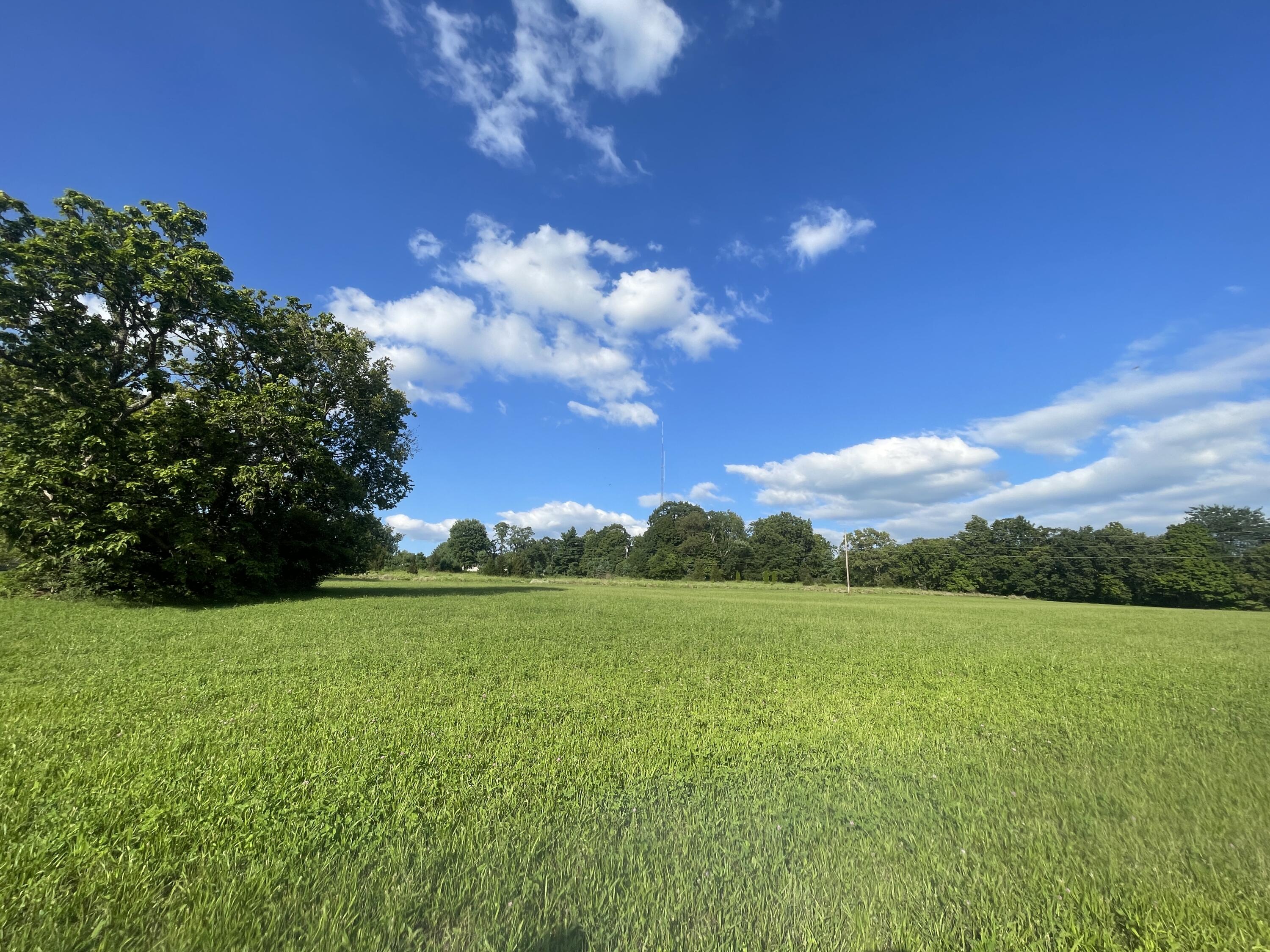 1.83 Acres Chambers Road Property Photo 12