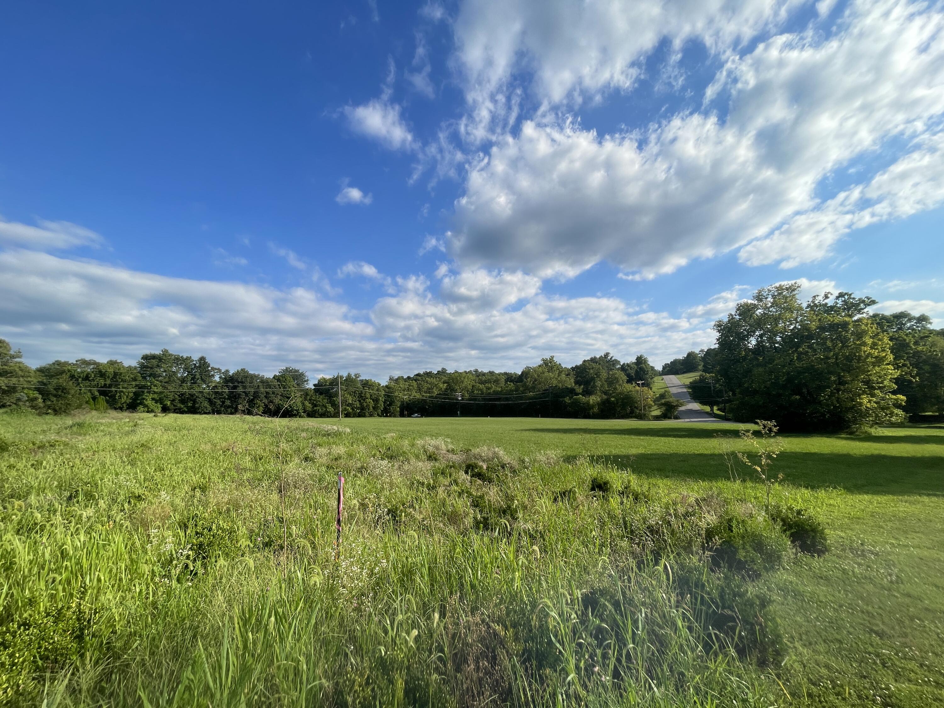 1.83 Acres Chambers Road Property Photo 13