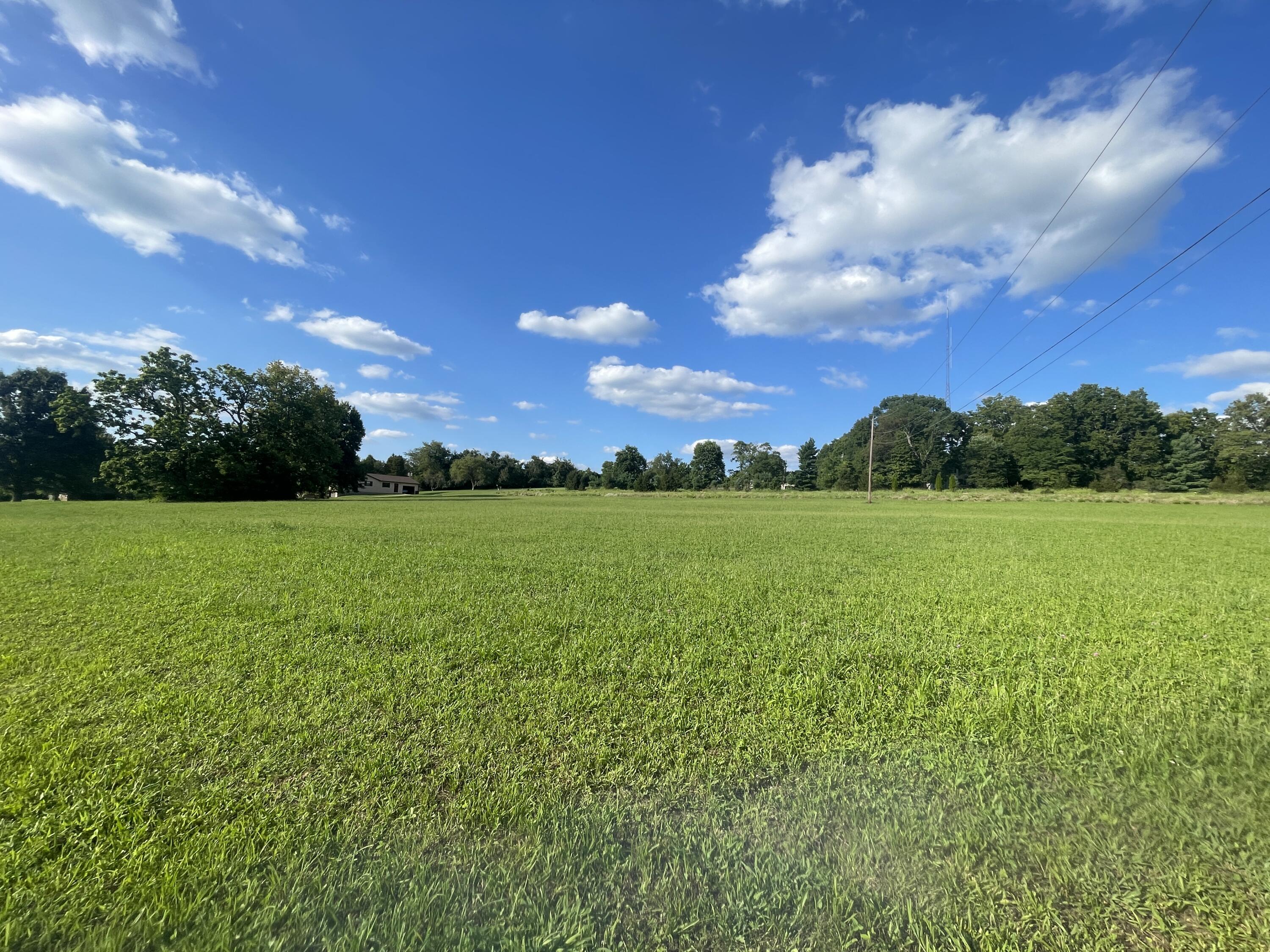 1.83 Acres Chambers Road Property Photo 14