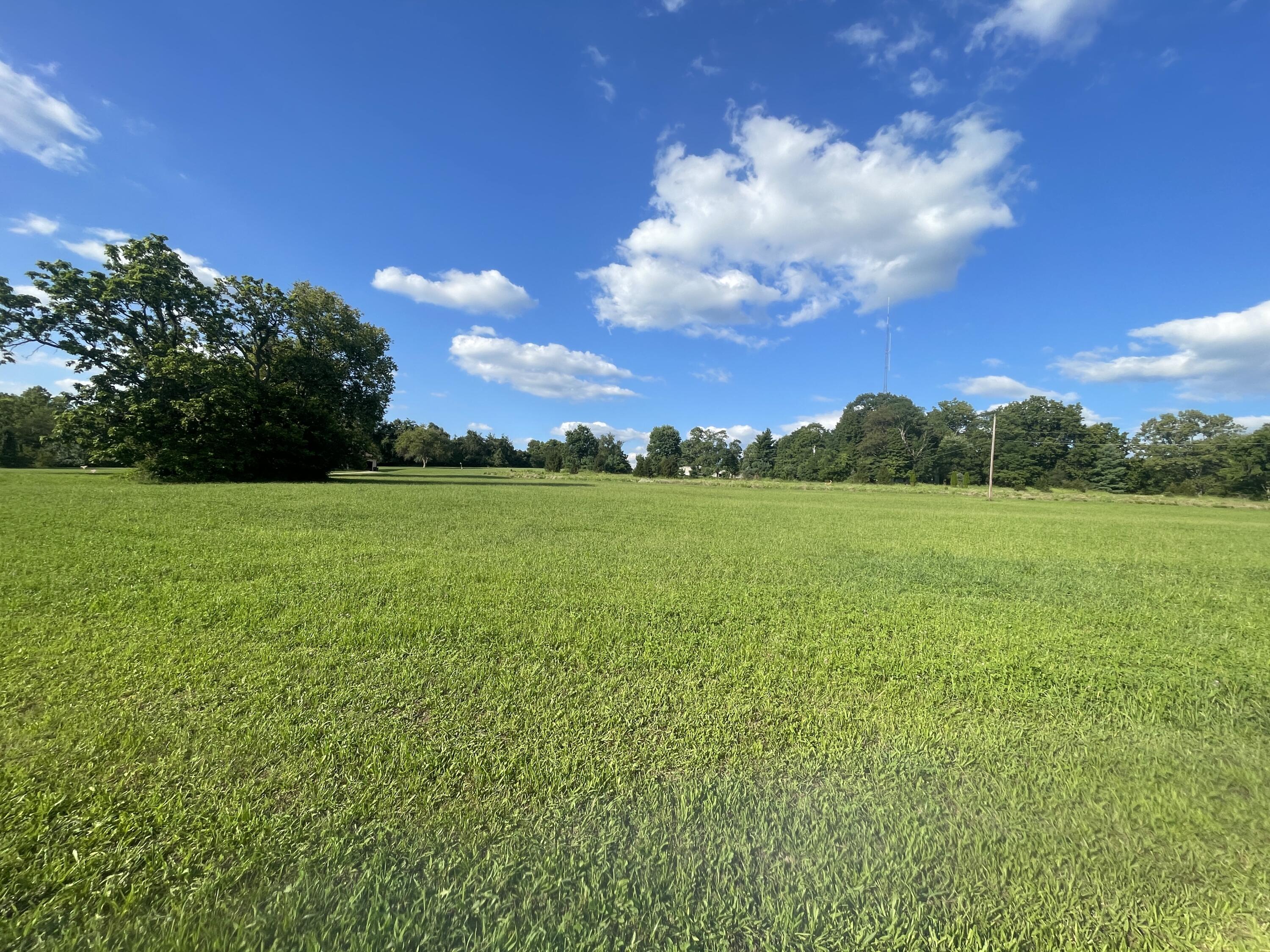 1.83 Acres Chambers Road Property Photo 15