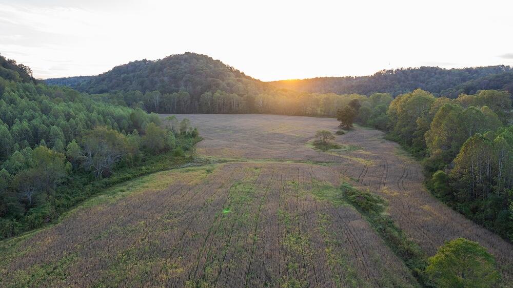 00 Kentucky 344 Property Photo 1