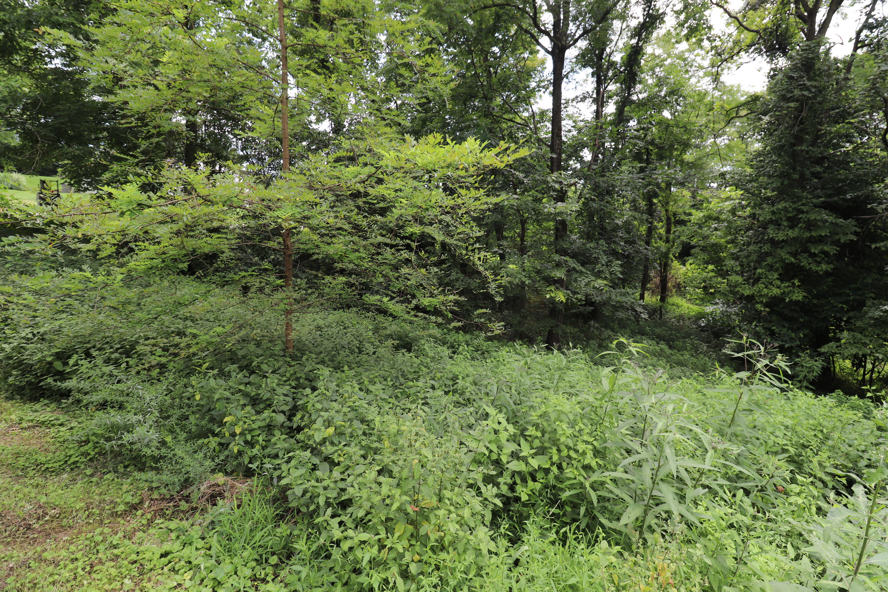 354 Garrett Avenue Property Photo 3