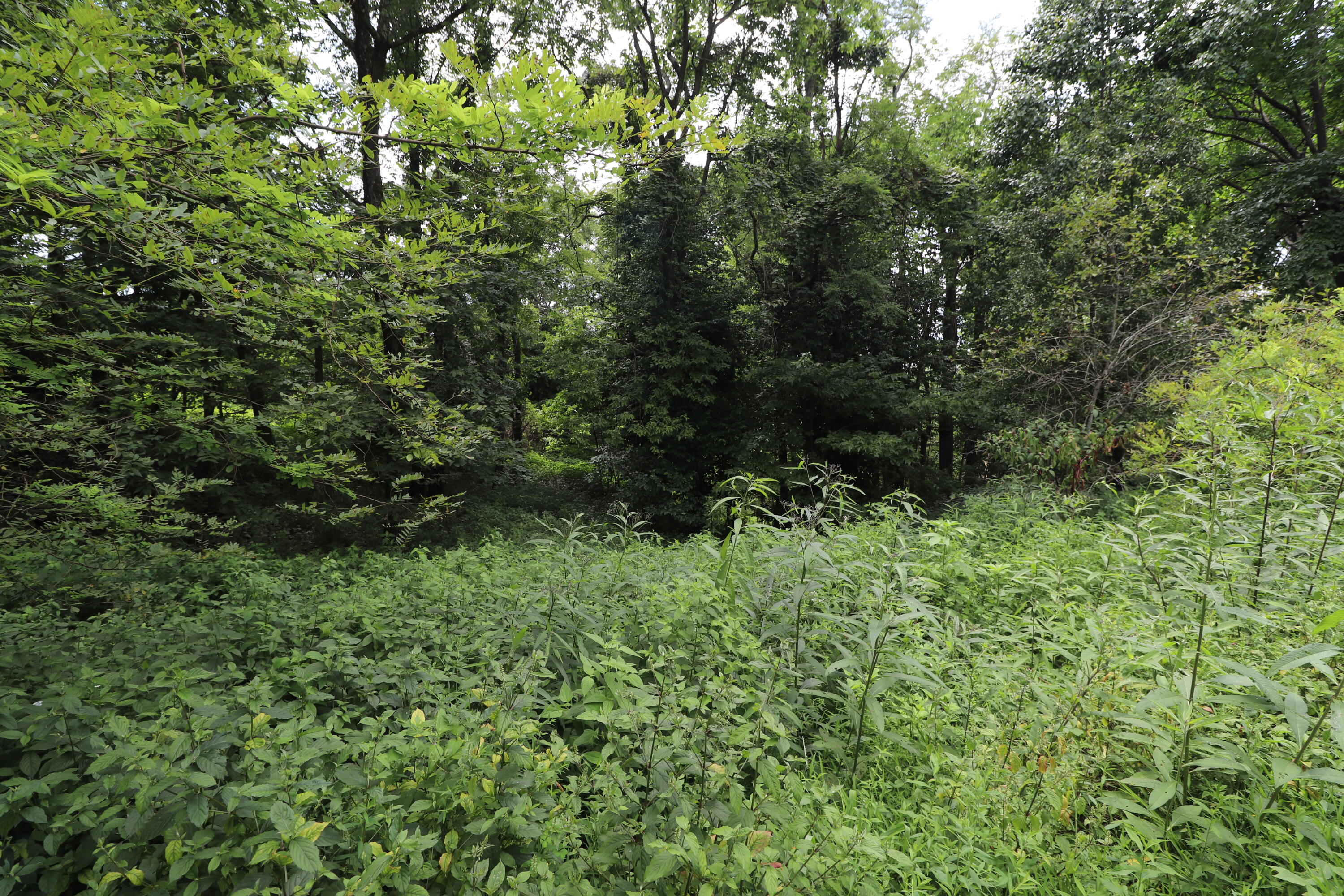 354 Garrett Avenue Property Photo 5