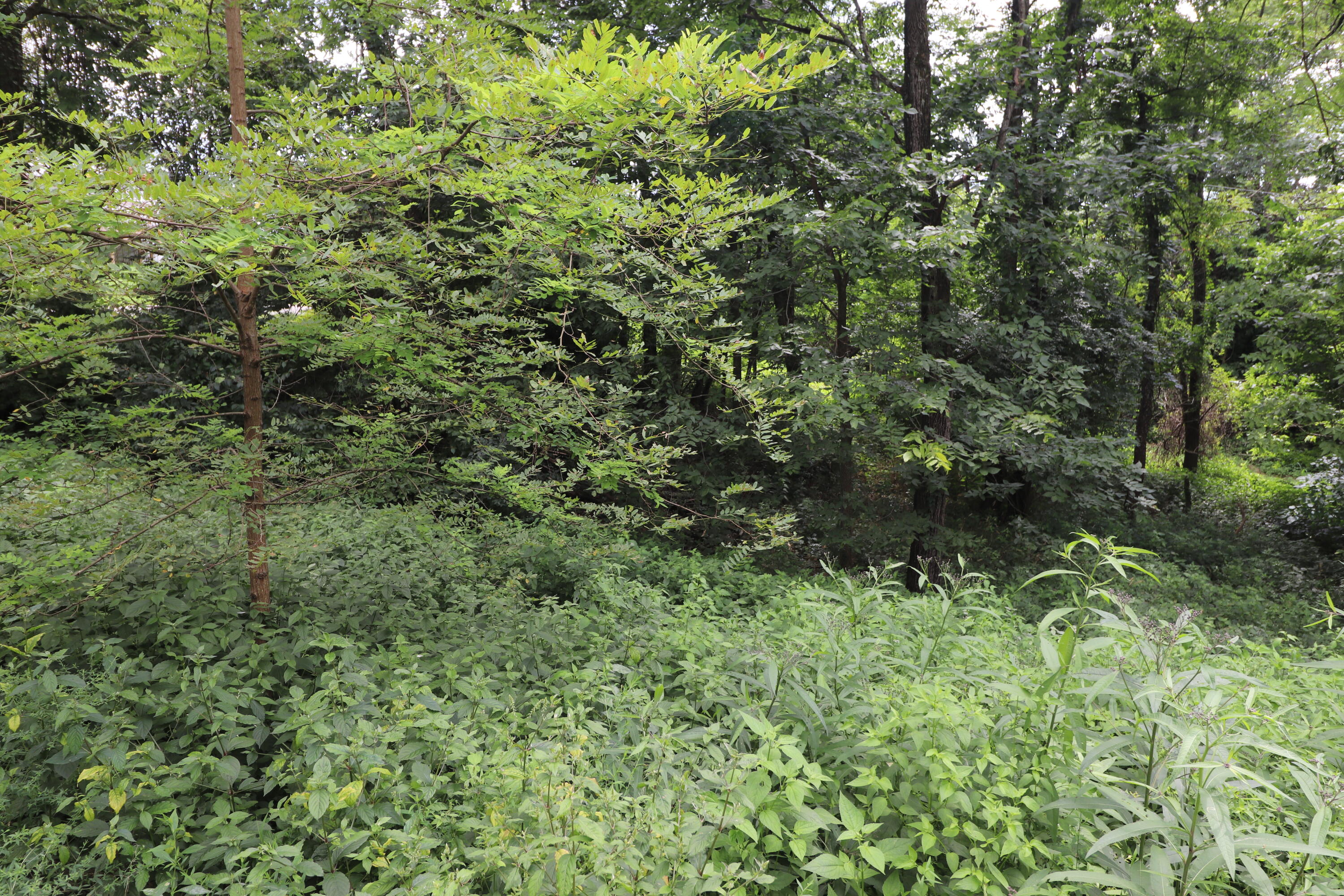 354 Garrett Avenue Property Photo 10