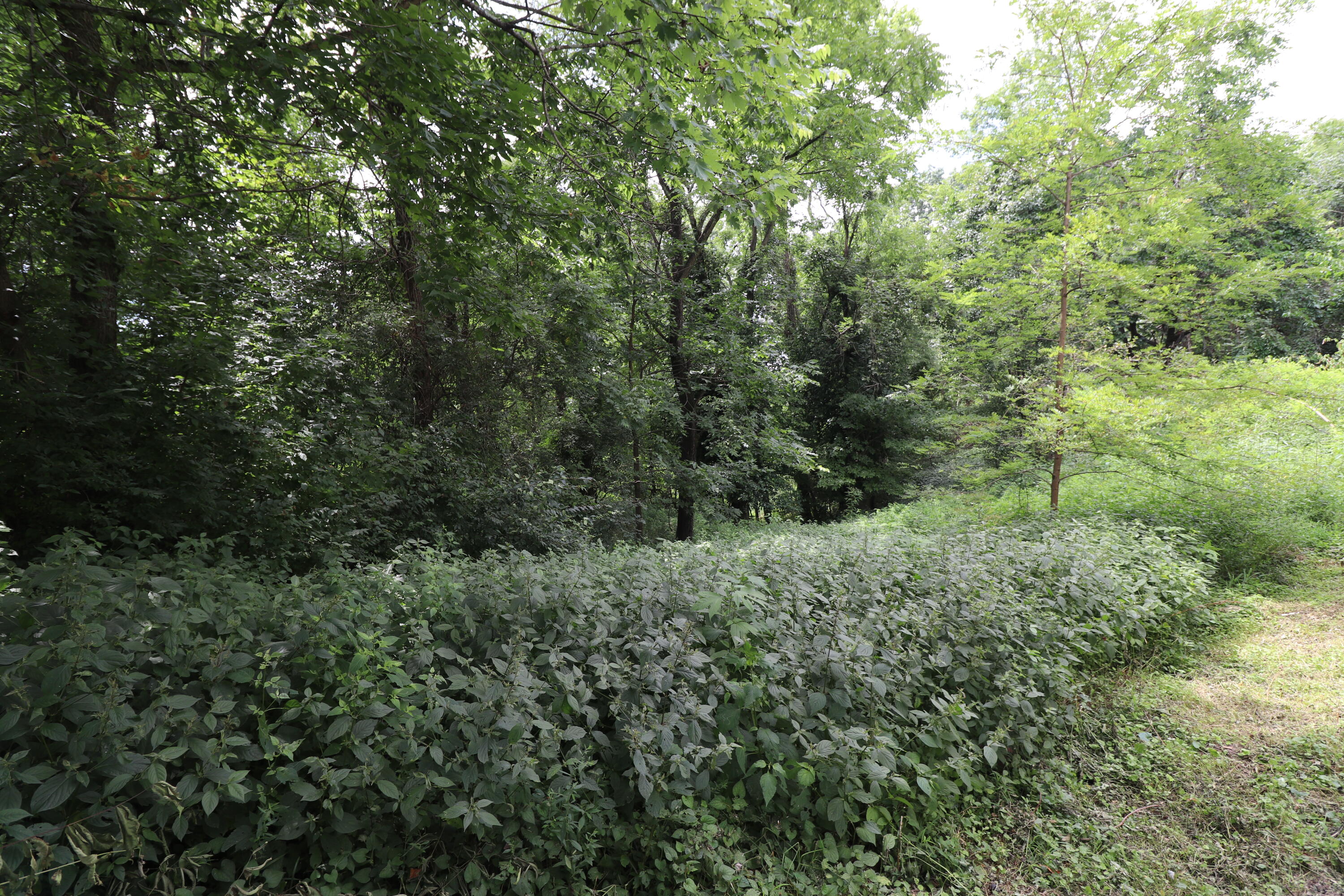 354 Garrett Avenue Property Photo 15