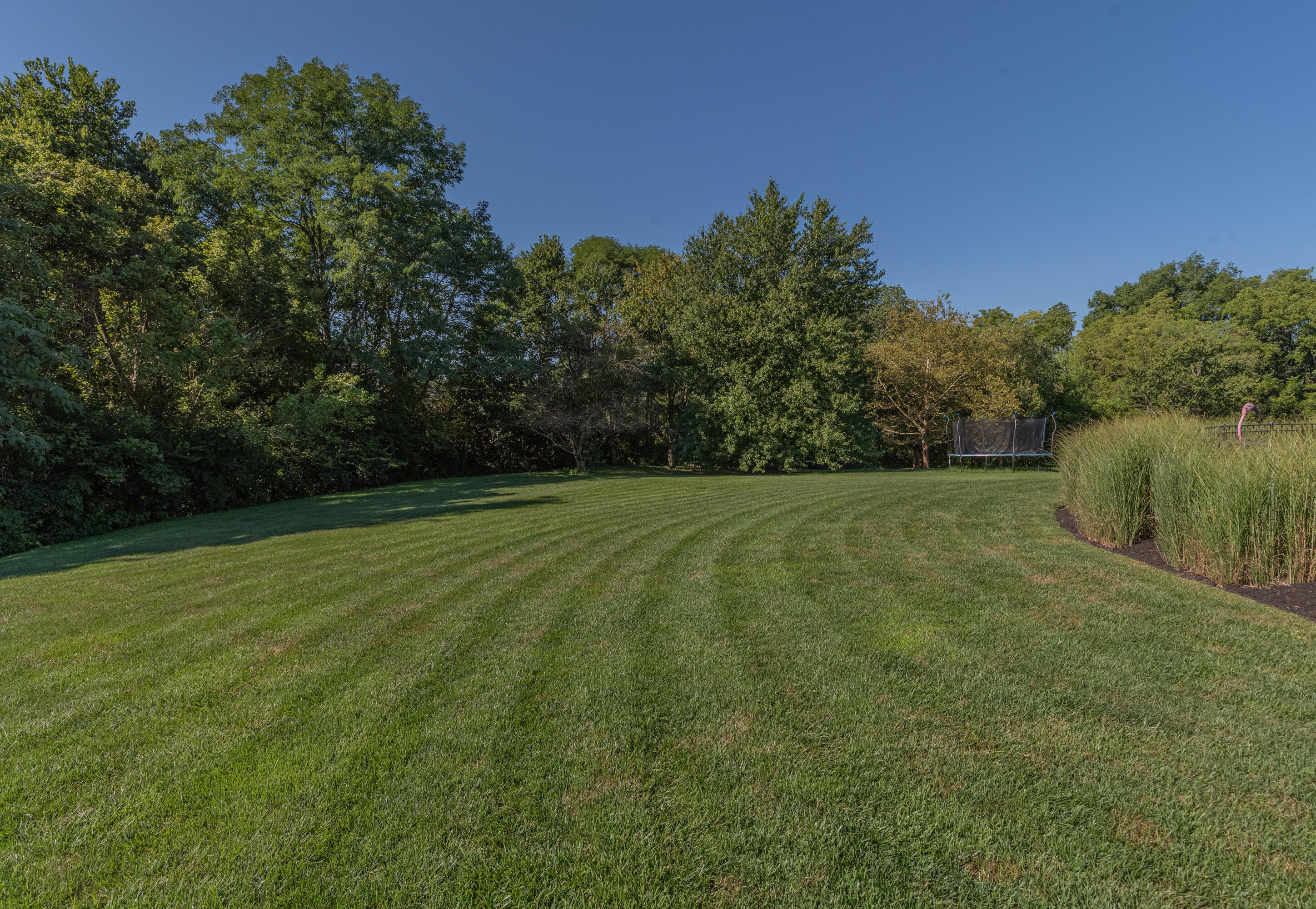 10651 Aspen Place Property Photo 43