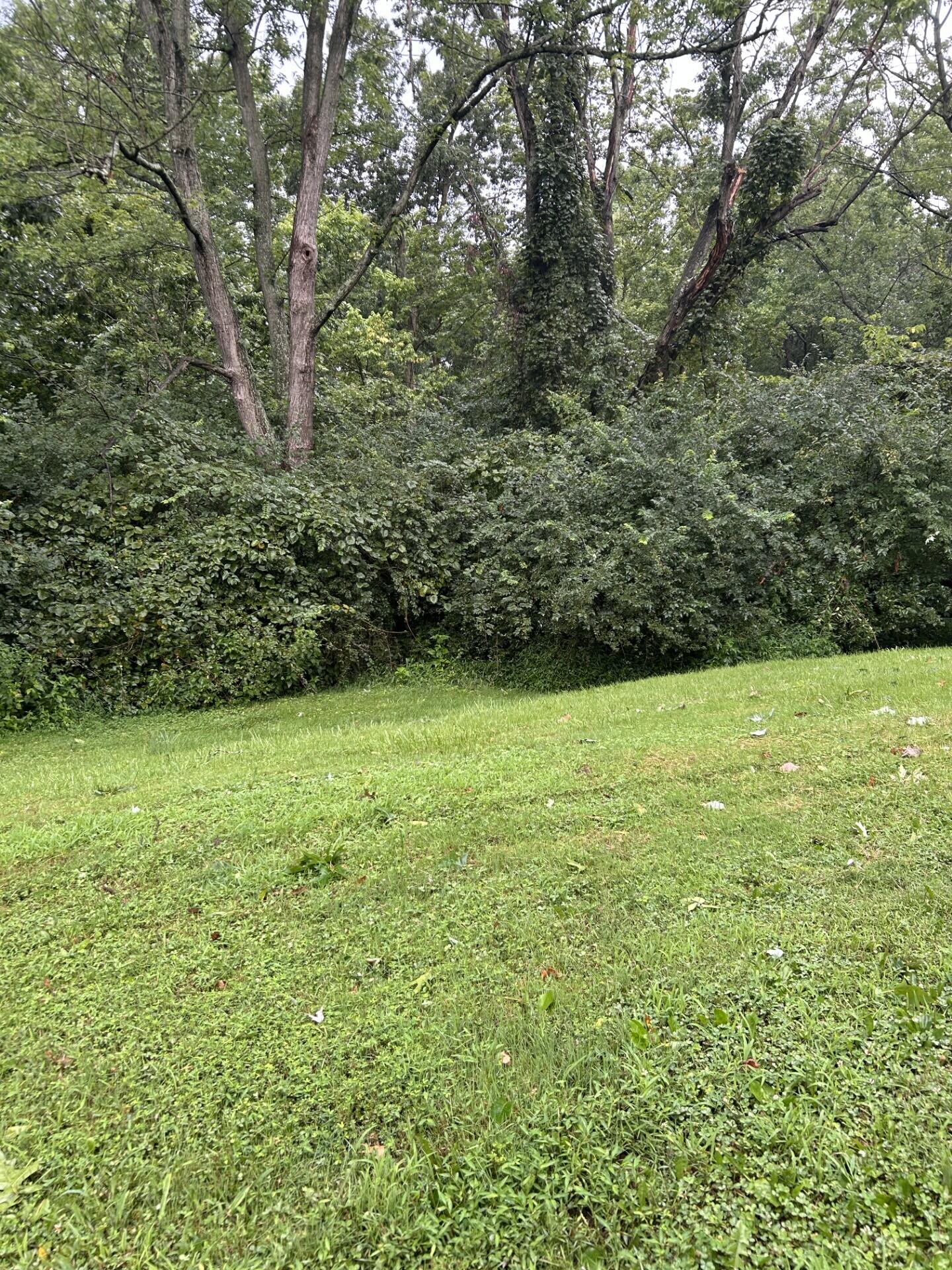 145 Bluffside Drive Property Photo 13