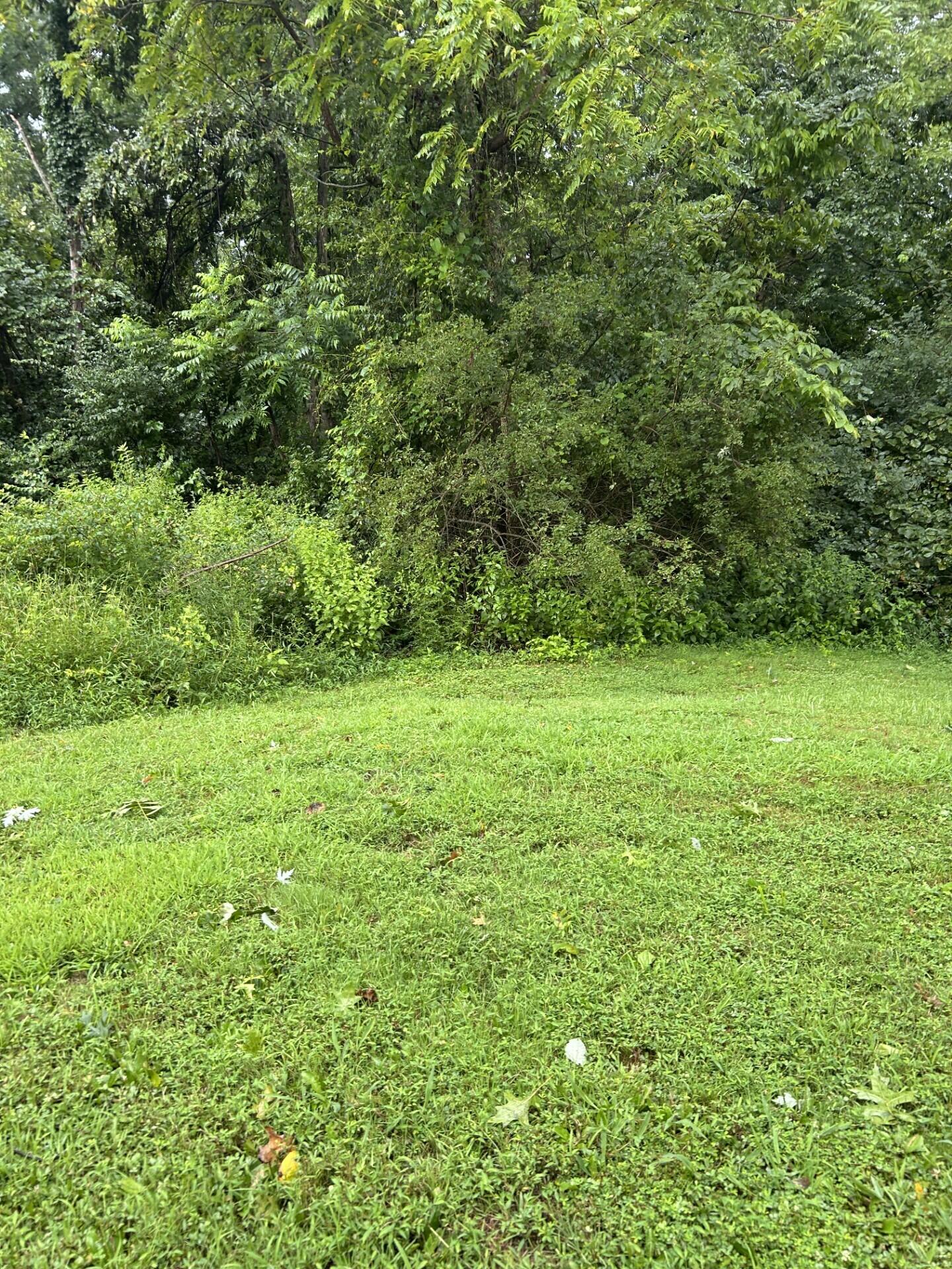 145 Bluffside Drive Property Photo 14