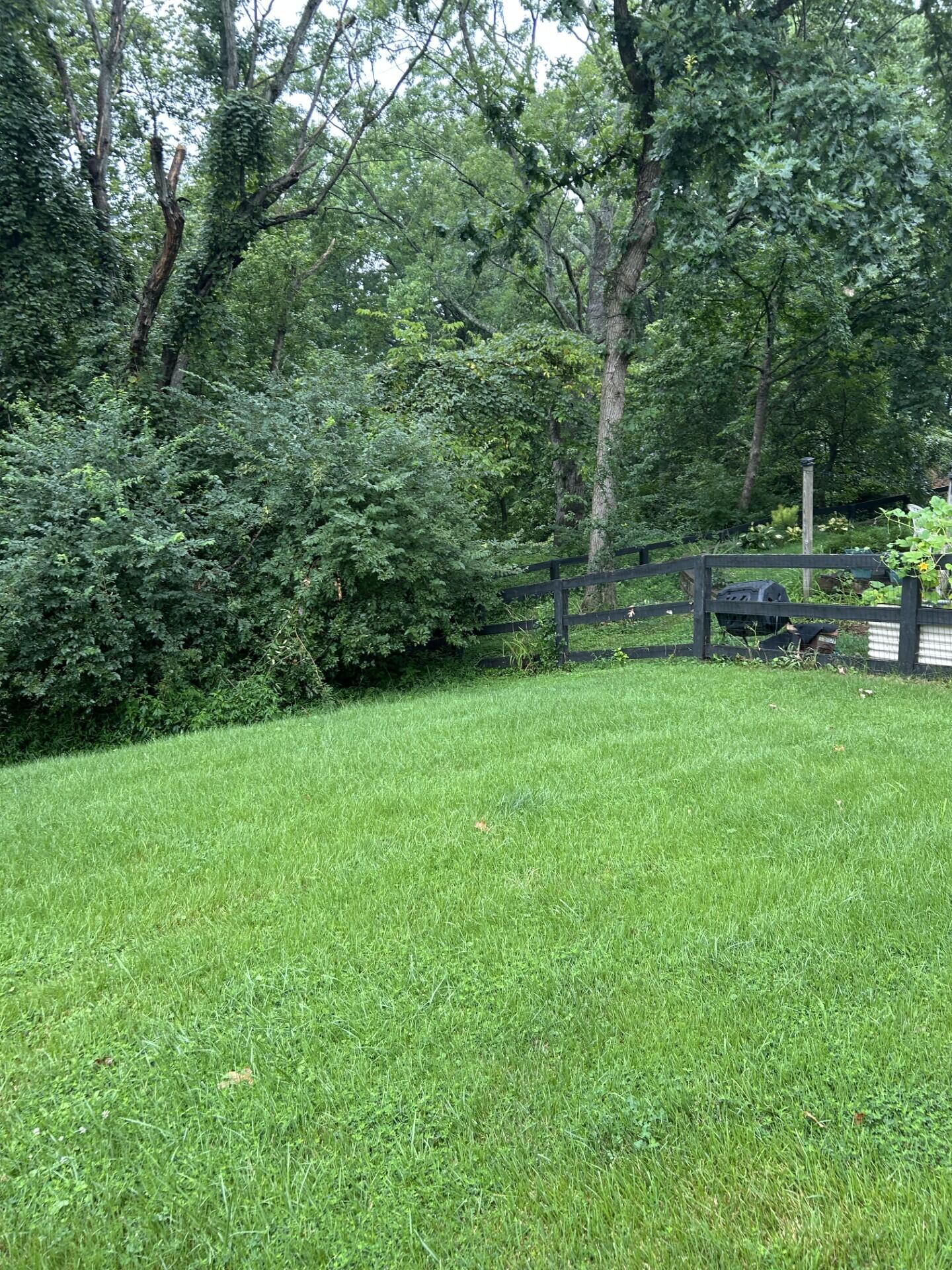 145 Bluffside Drive Property Photo 15