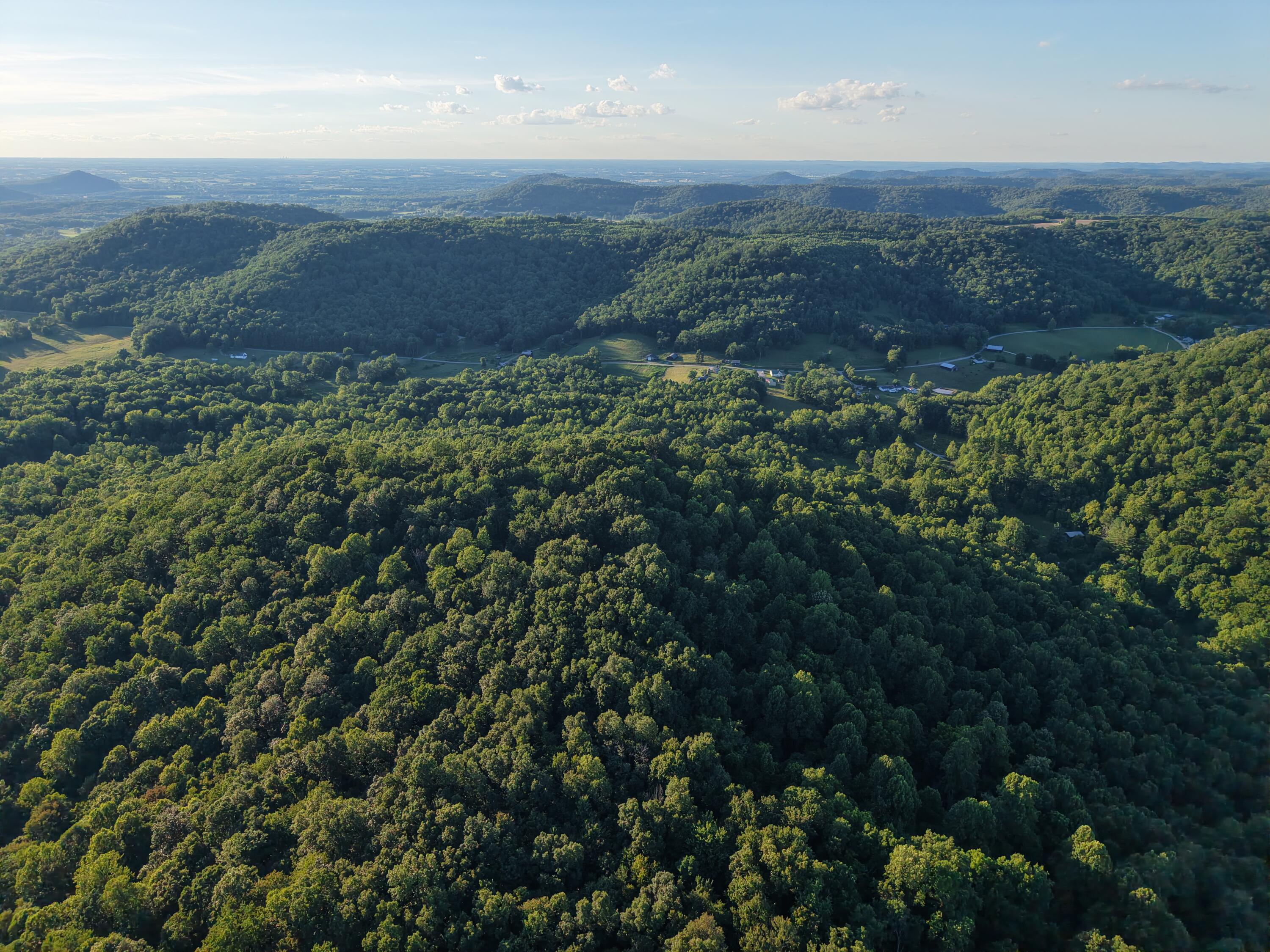 2319 Beechy Creek Road Property Photo 7