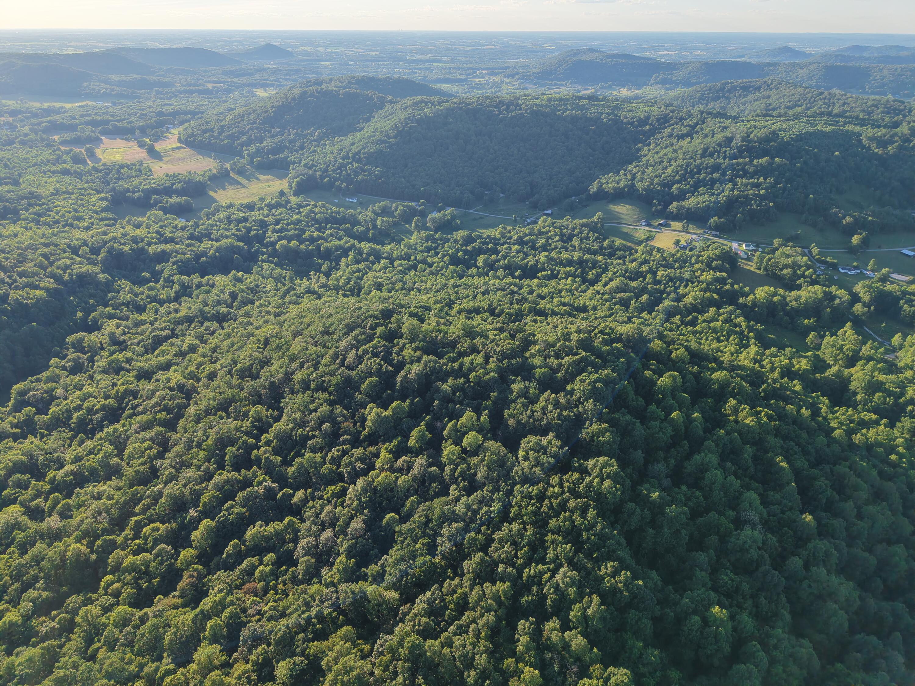 2319 Beechy Creek Road Property Photo 8
