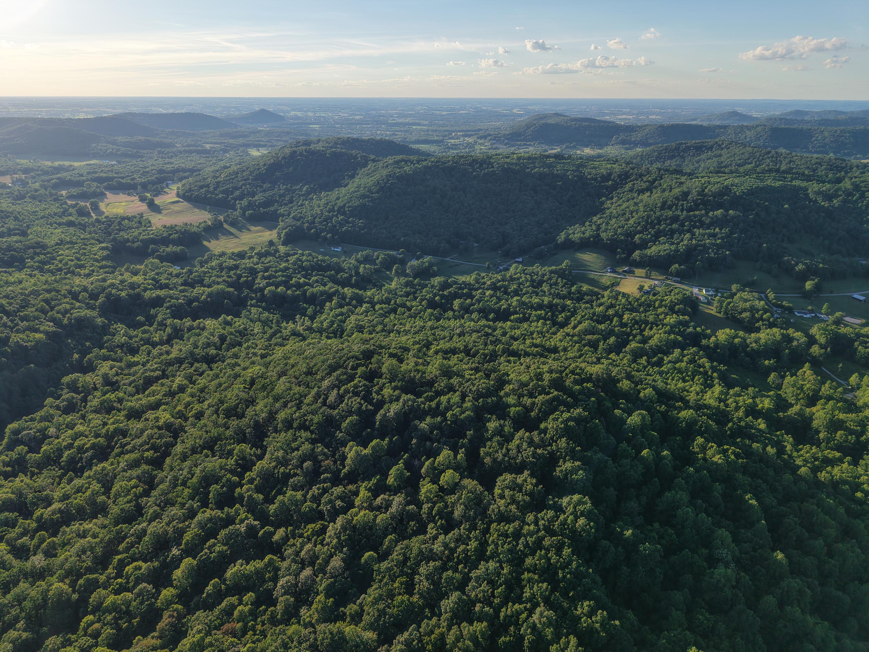 2319 Beechy Creek Road Property Photo 9