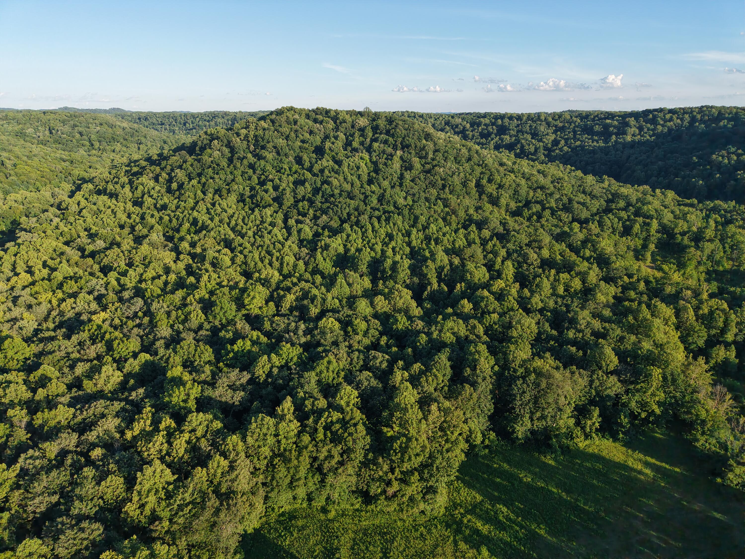 2319 Beechy Creek Road Property Photo 13