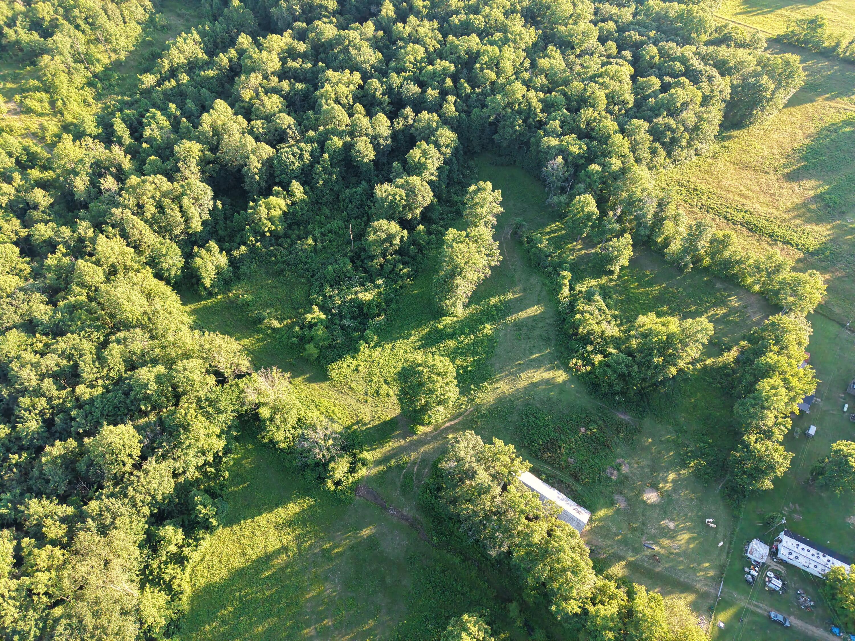 2319 Beechy Creek Road Property Photo 16