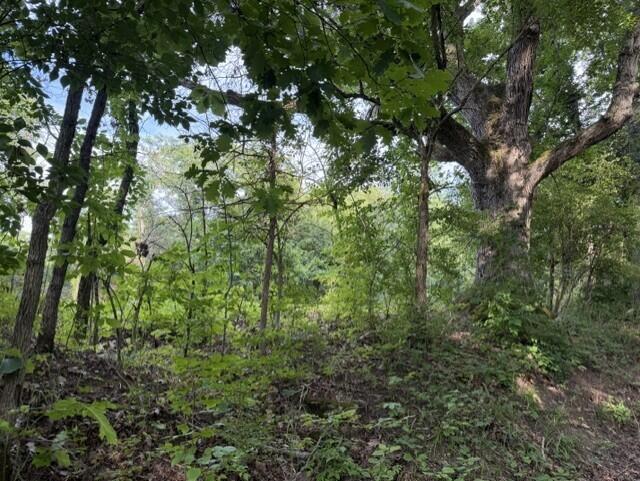 881 Galbraith Road Property Photo 3