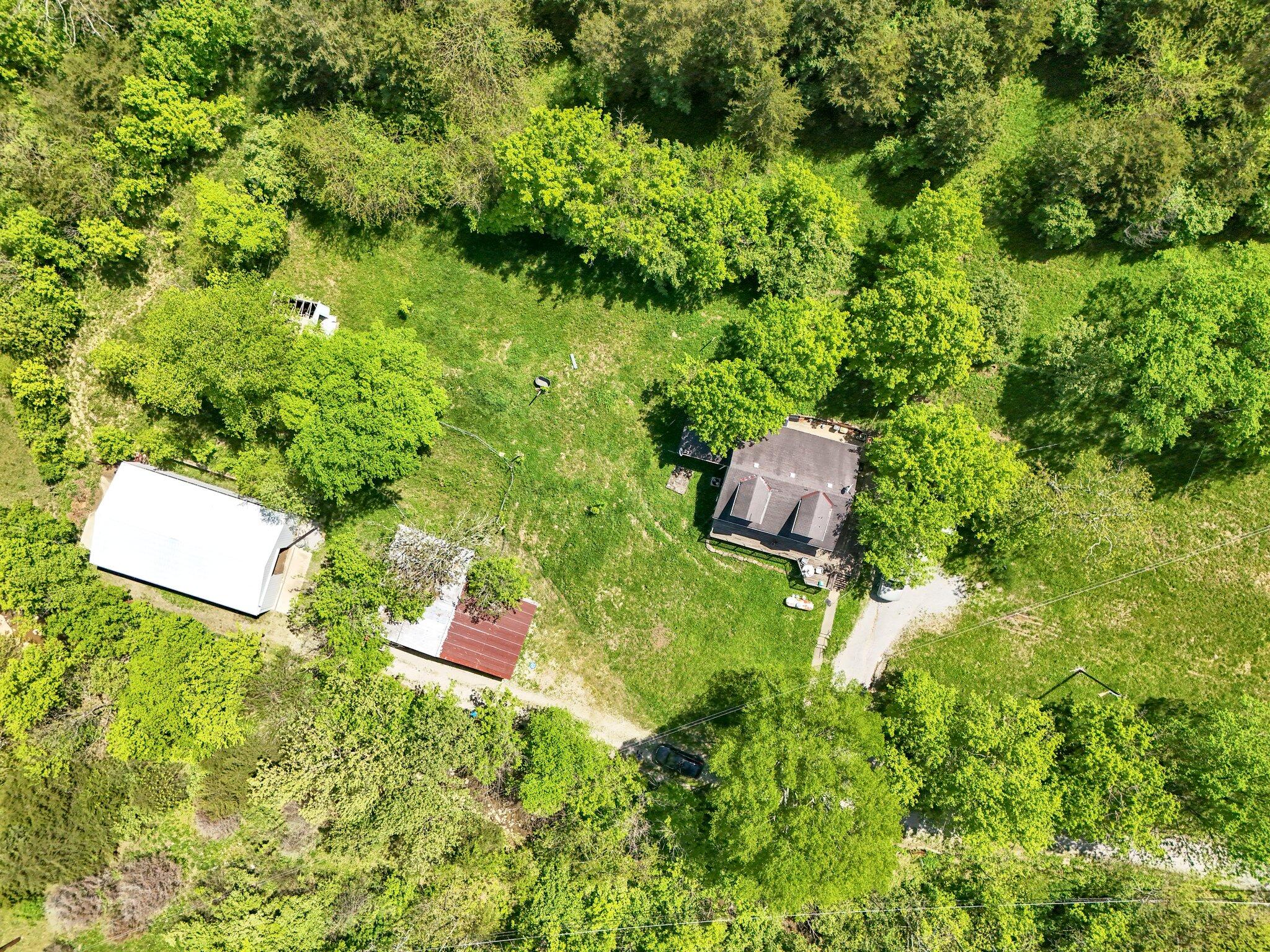 10061 Persimmon Grove Pike Property Photo 5