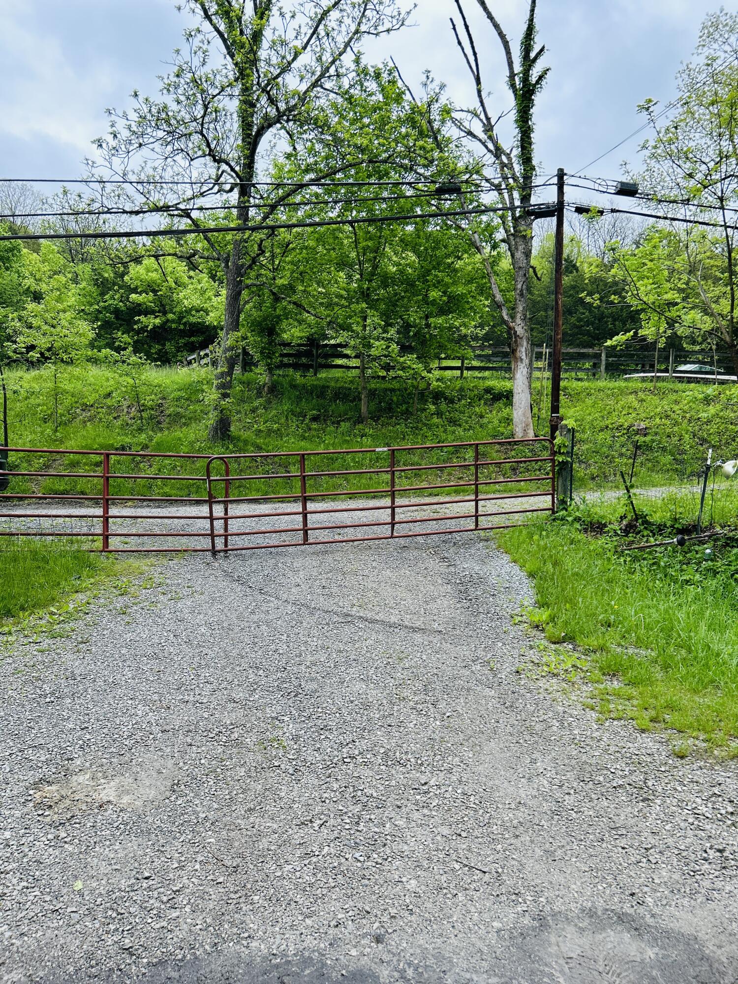 10061 Persimmon Grove Pike Property Photo 10