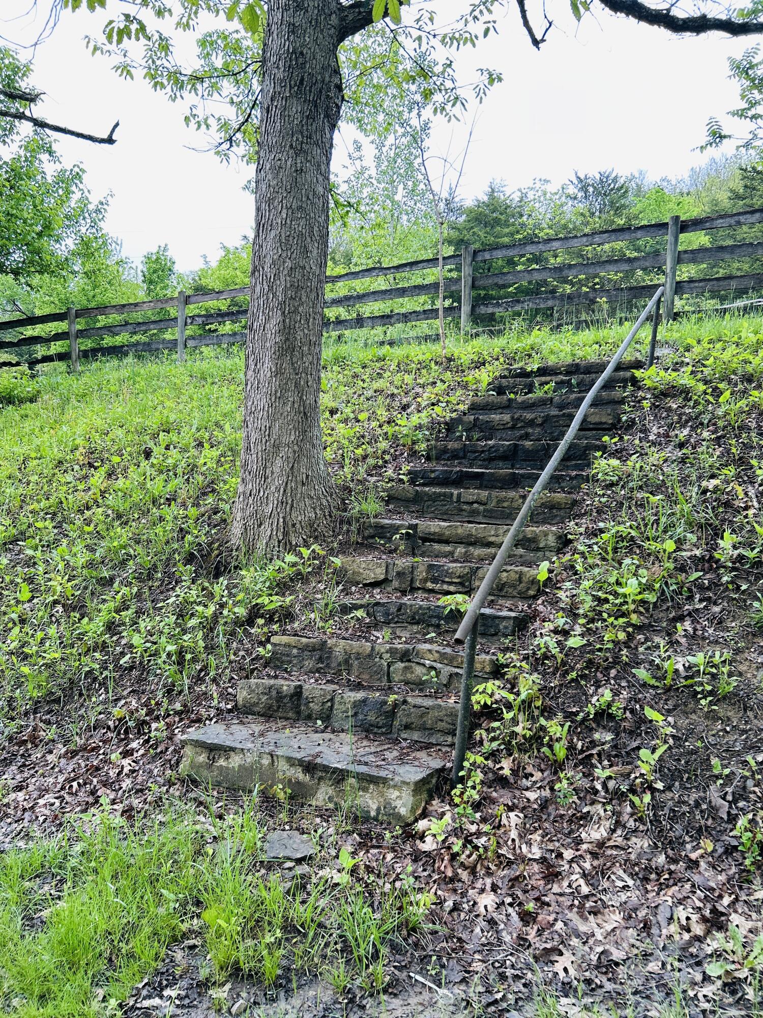 10061 Persimmon Grove Pike Property Photo 11