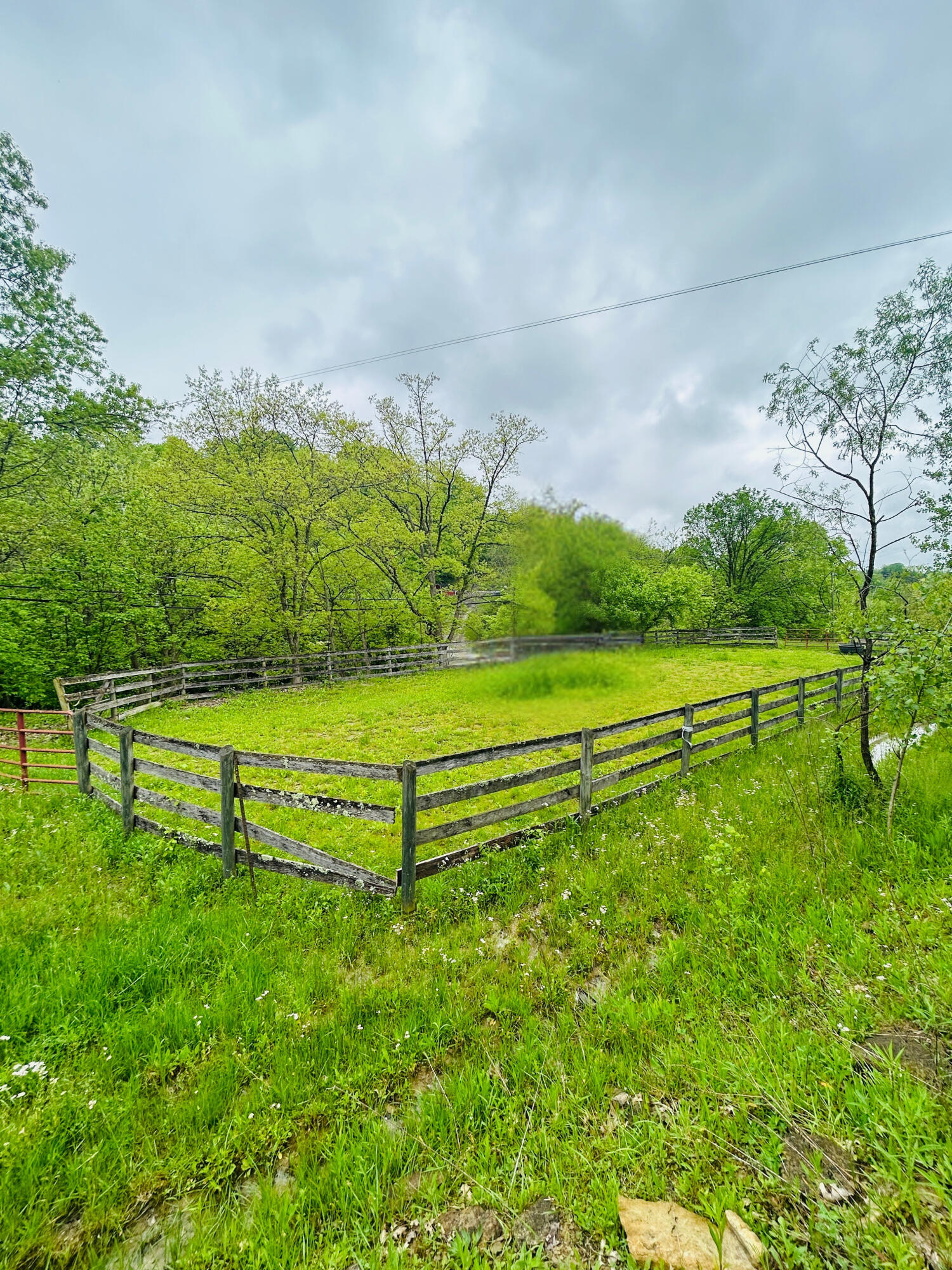 10061 Persimmon Grove Pike Property Photo 12