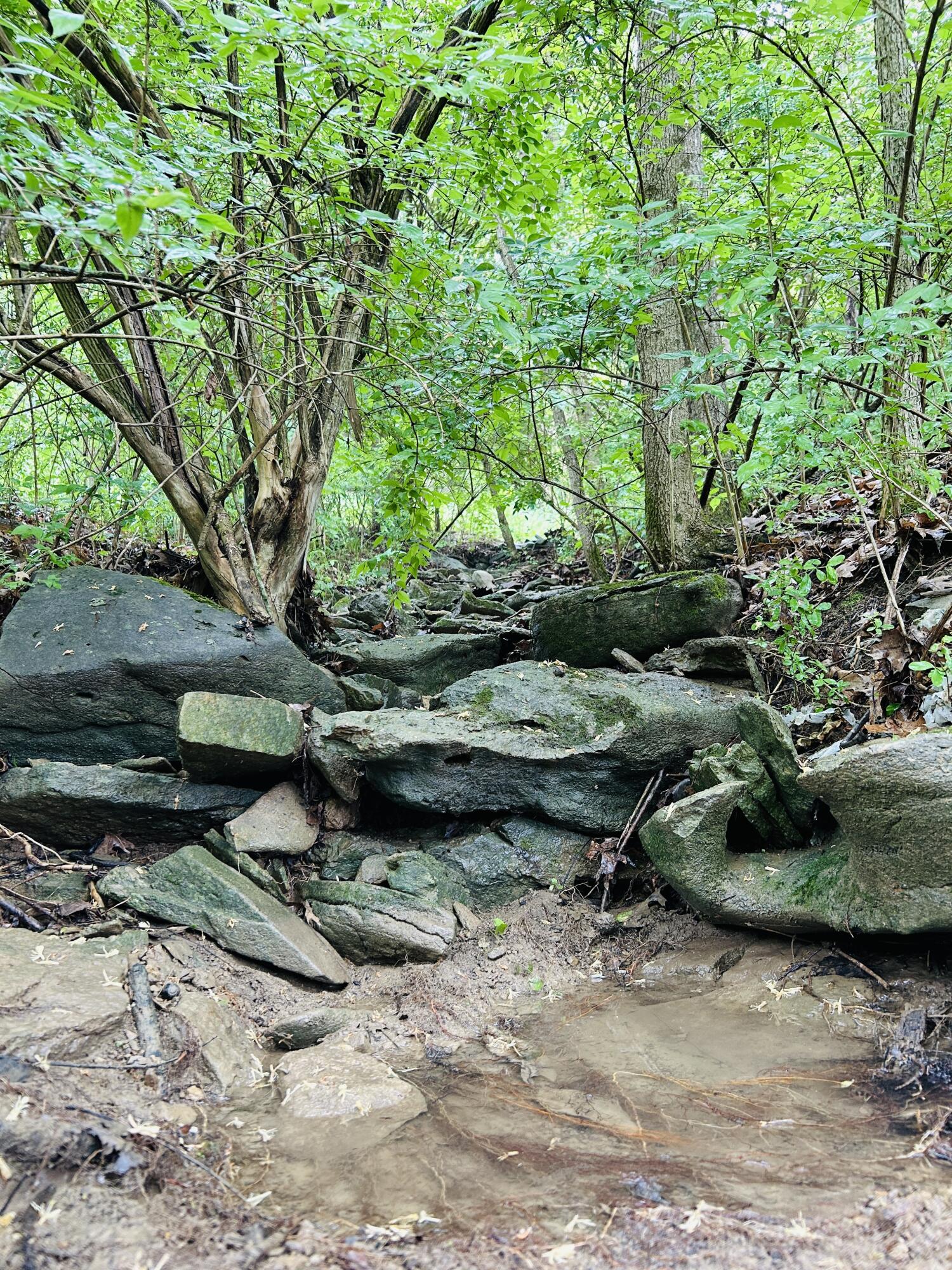 10061 Persimmon Grove Pike Property Photo 13
