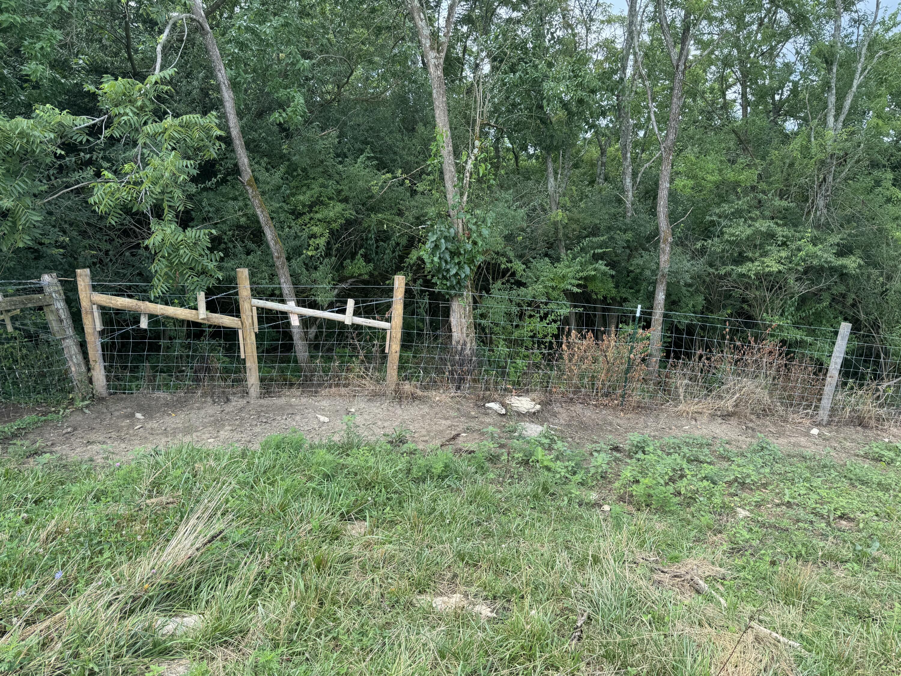 10061 Persimmon Grove Pike Property Photo 15