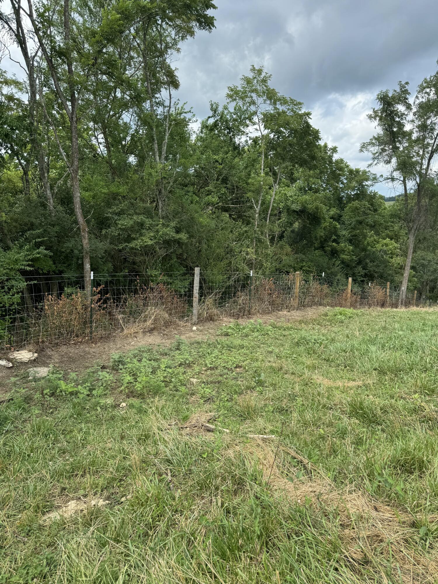 10061 Persimmon Grove Pike Property Photo 16