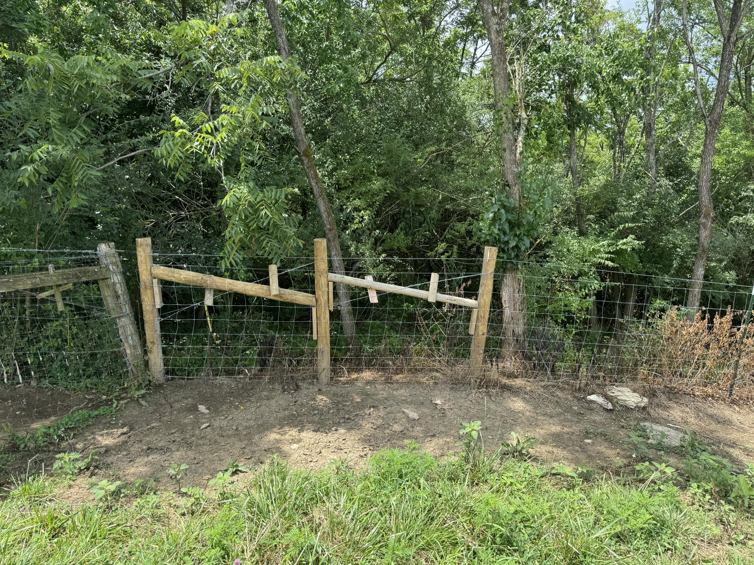10061 Persimmon Grove Pike Property Photo 17