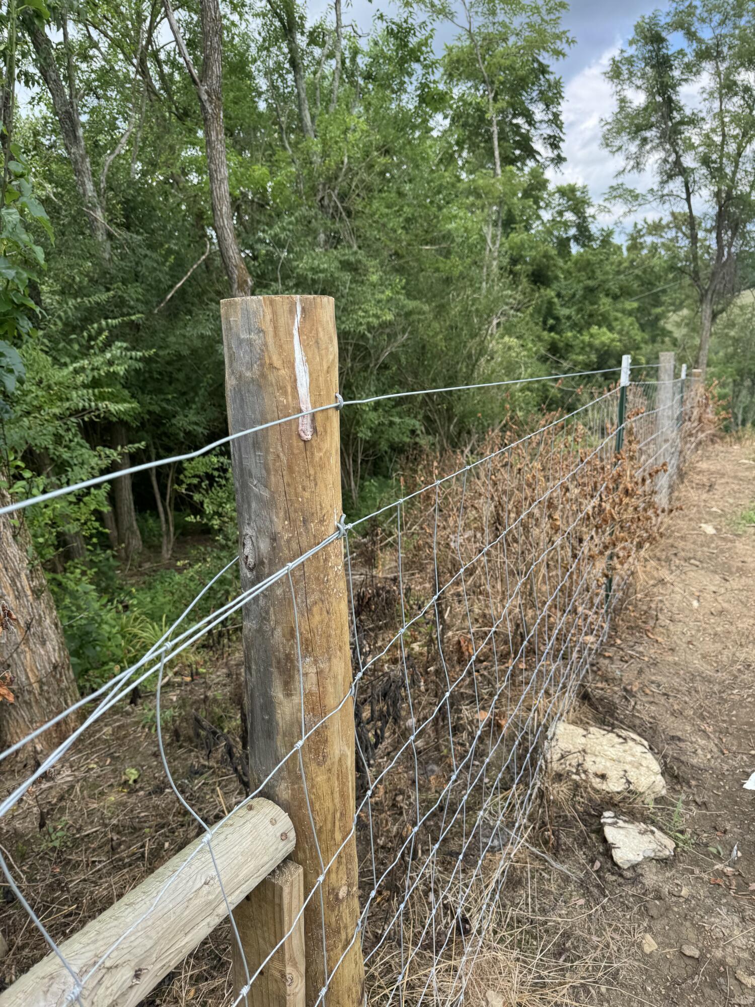 10061 Persimmon Grove Pike Property Photo 18