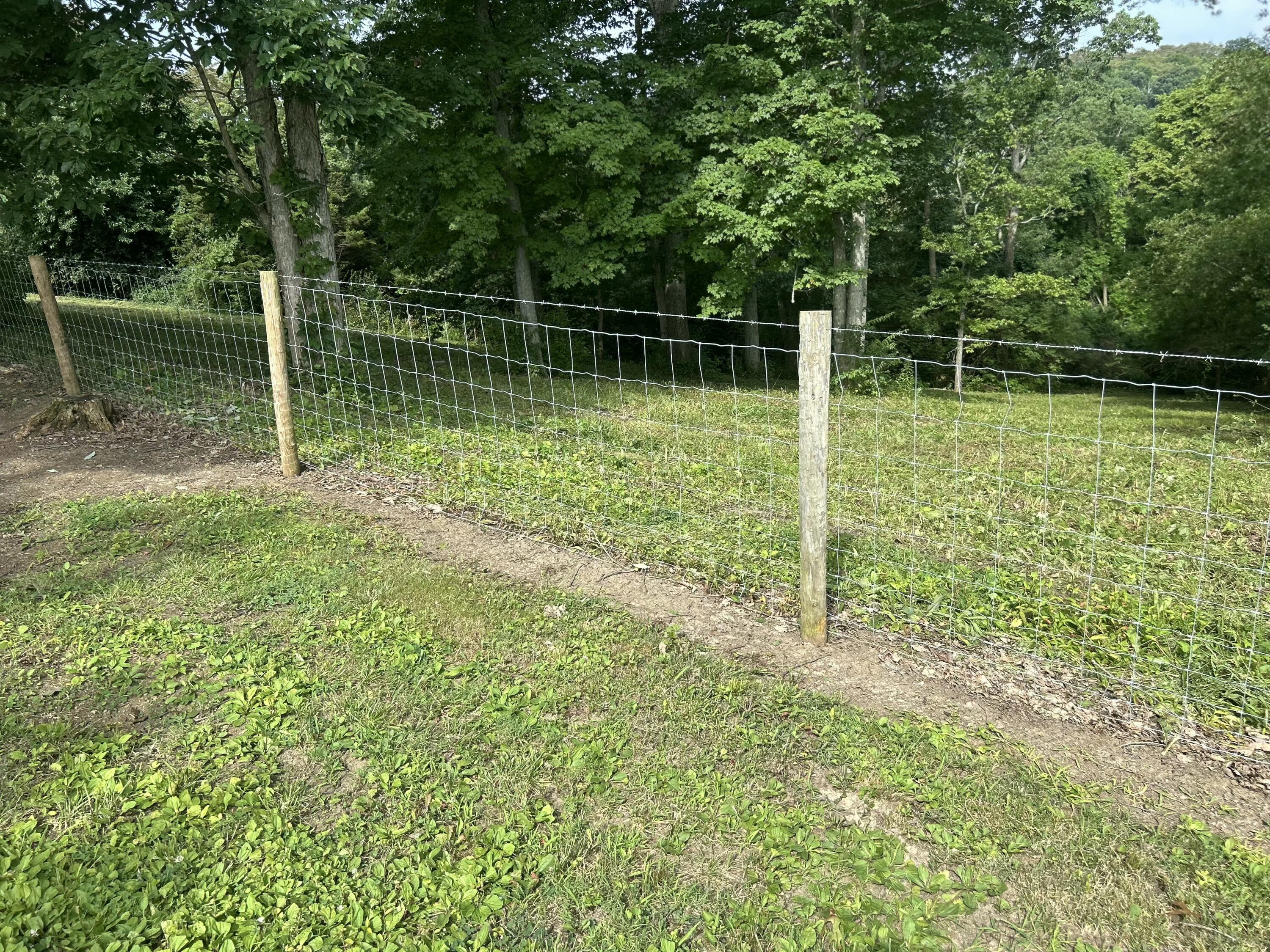 10061 Persimmon Grove Pike Property Photo 45