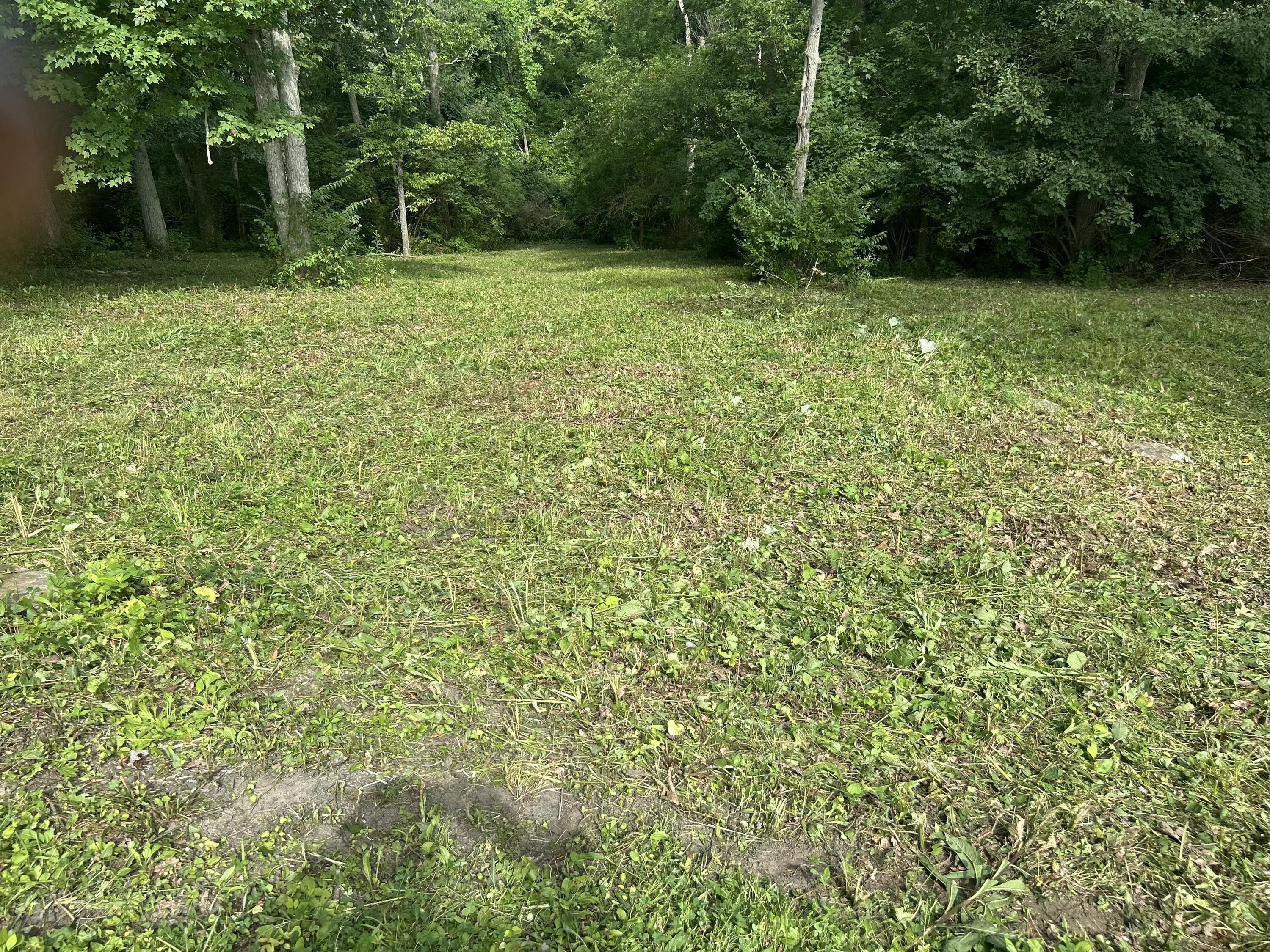 10061 Persimmon Grove Pike Property Photo 46