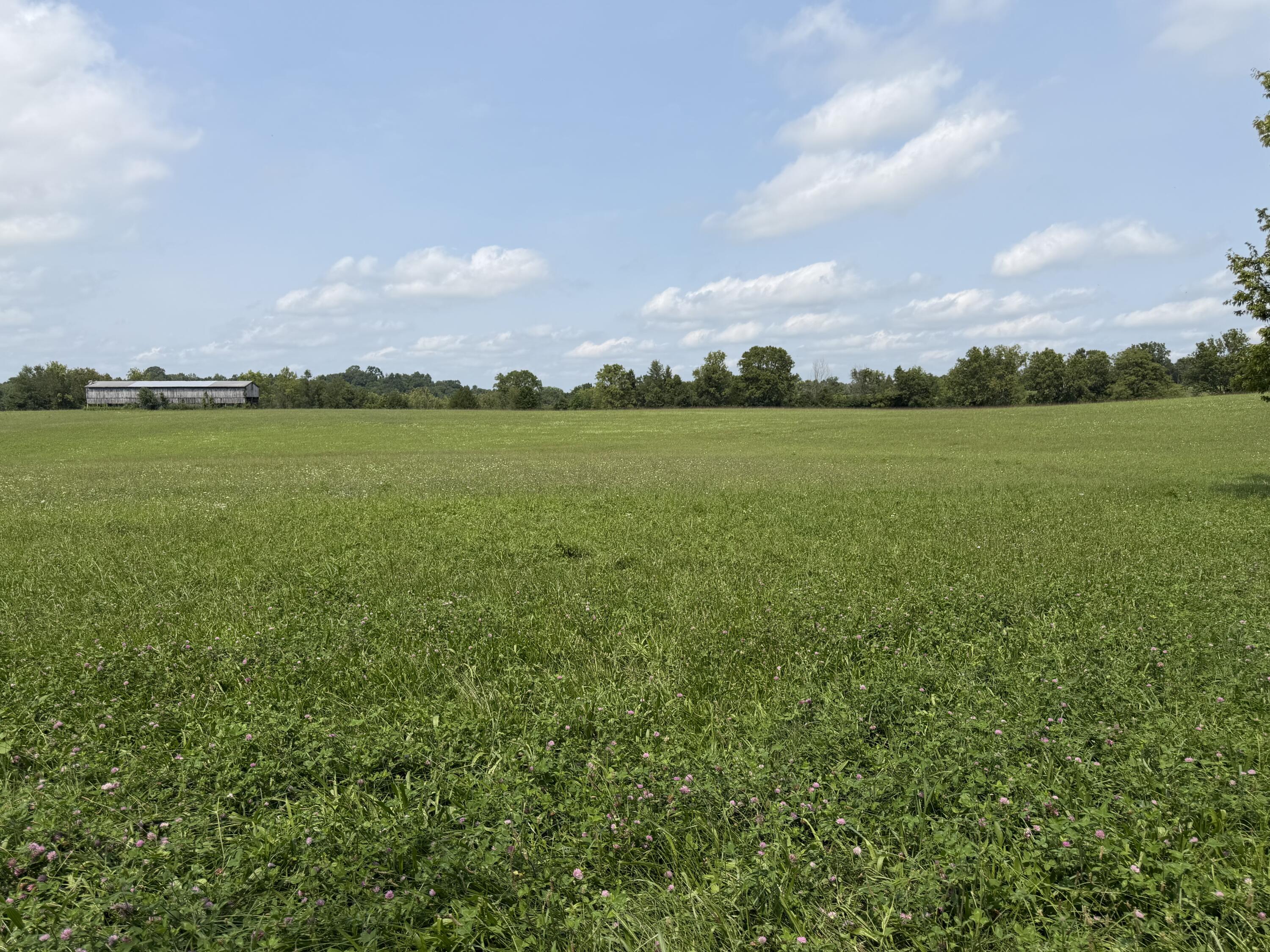 277 Robinson Road Property Photo 1