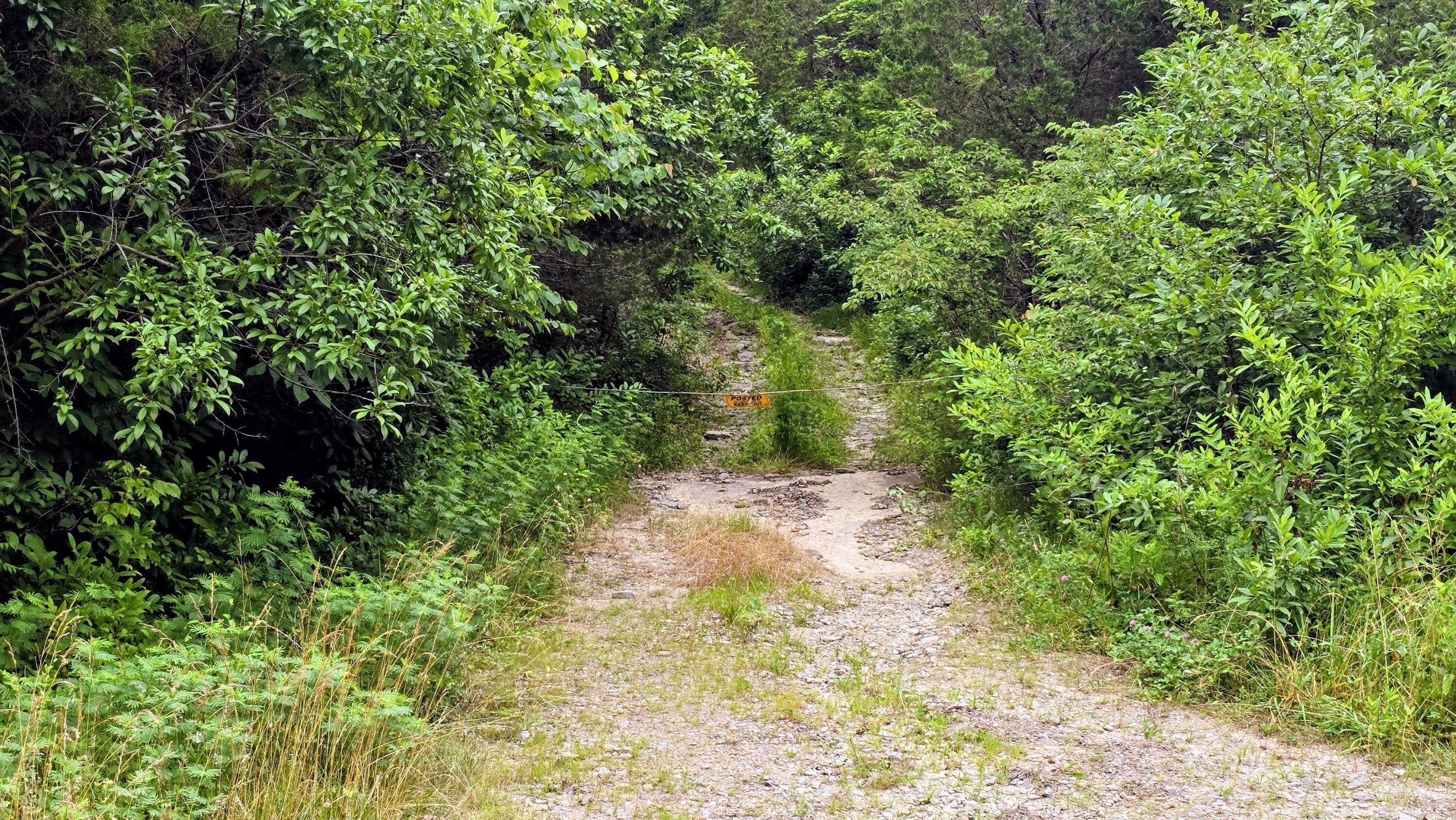 0 Highway 184 Property Photo 8