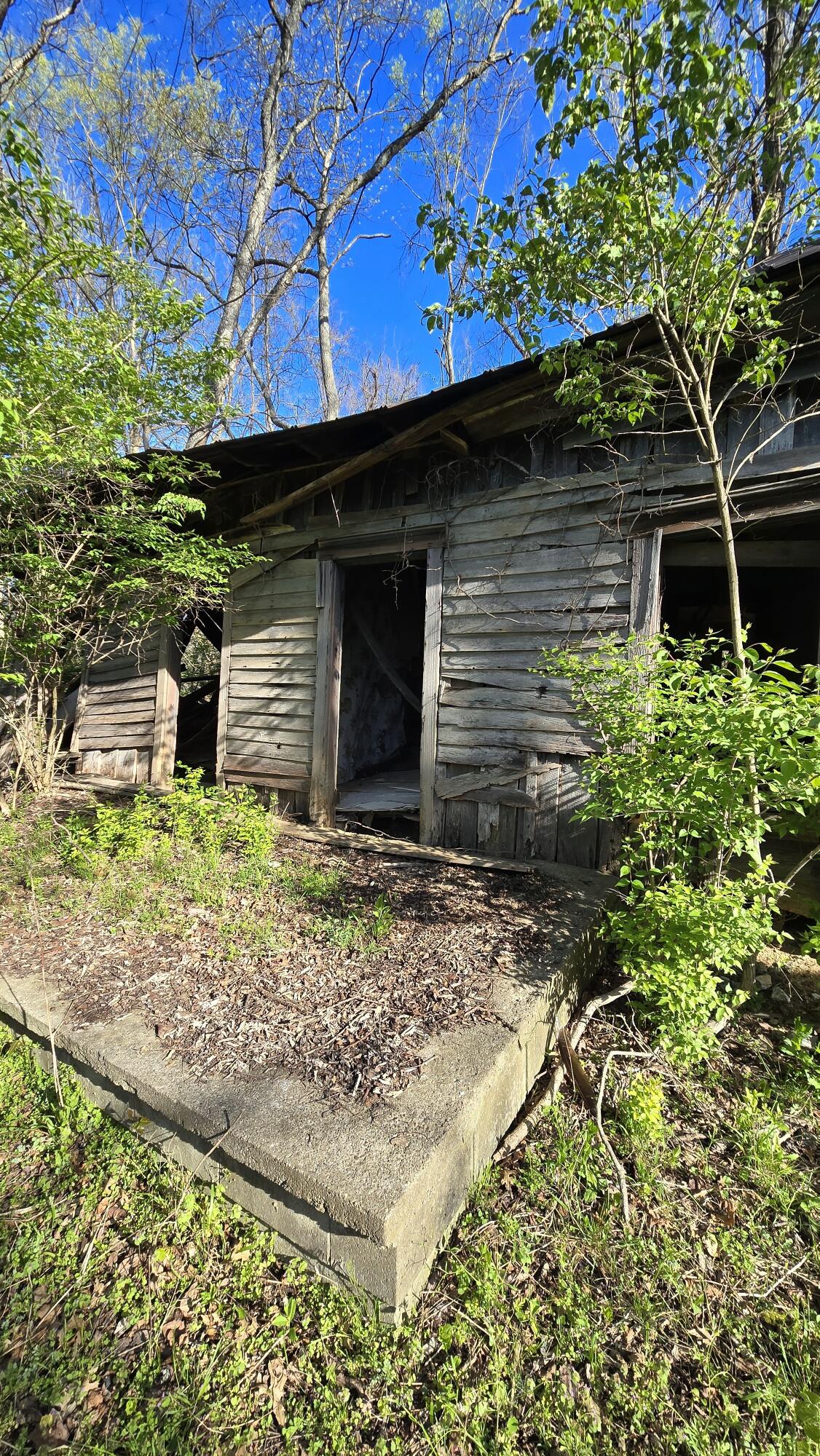 0 Highway 184 Property Photo 9