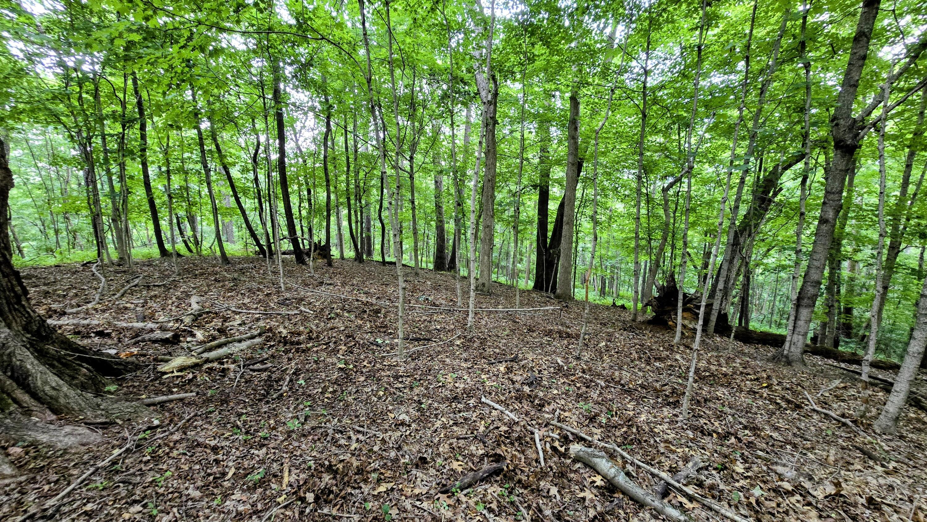 0 Highway 184 Property Photo 12