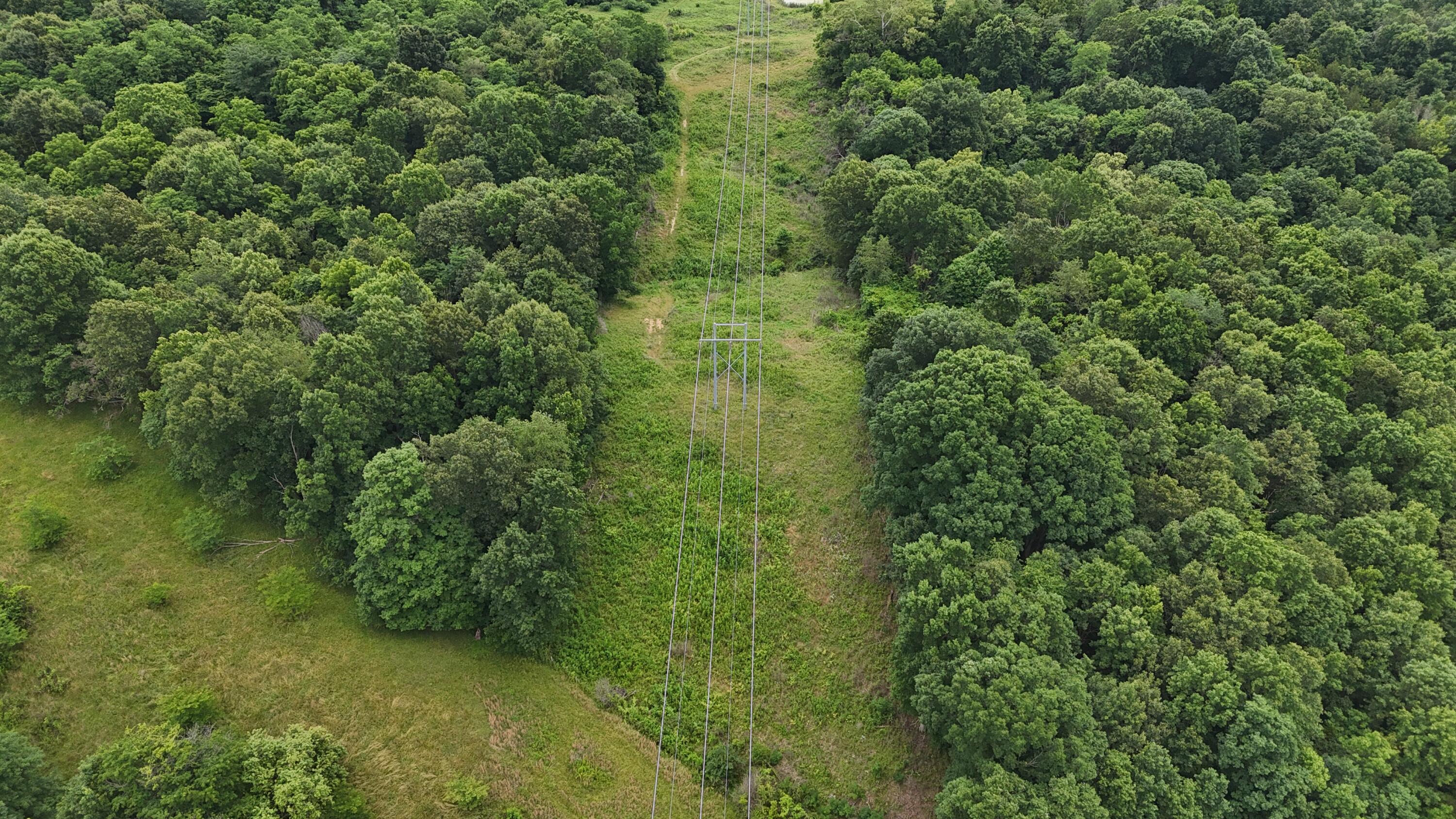 0 Highway 184 Property Photo 19