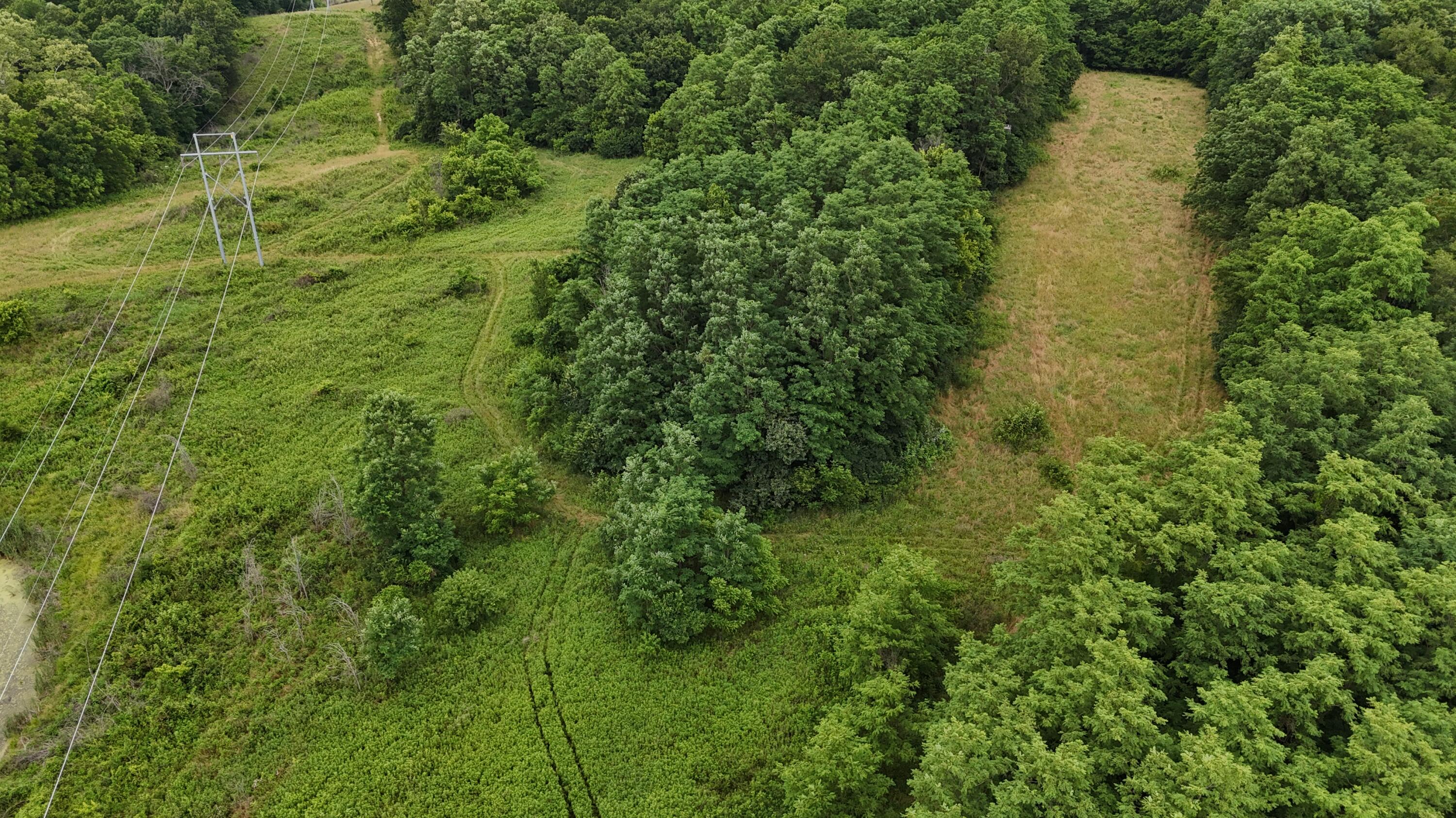 0 Highway 184 Property Photo 25