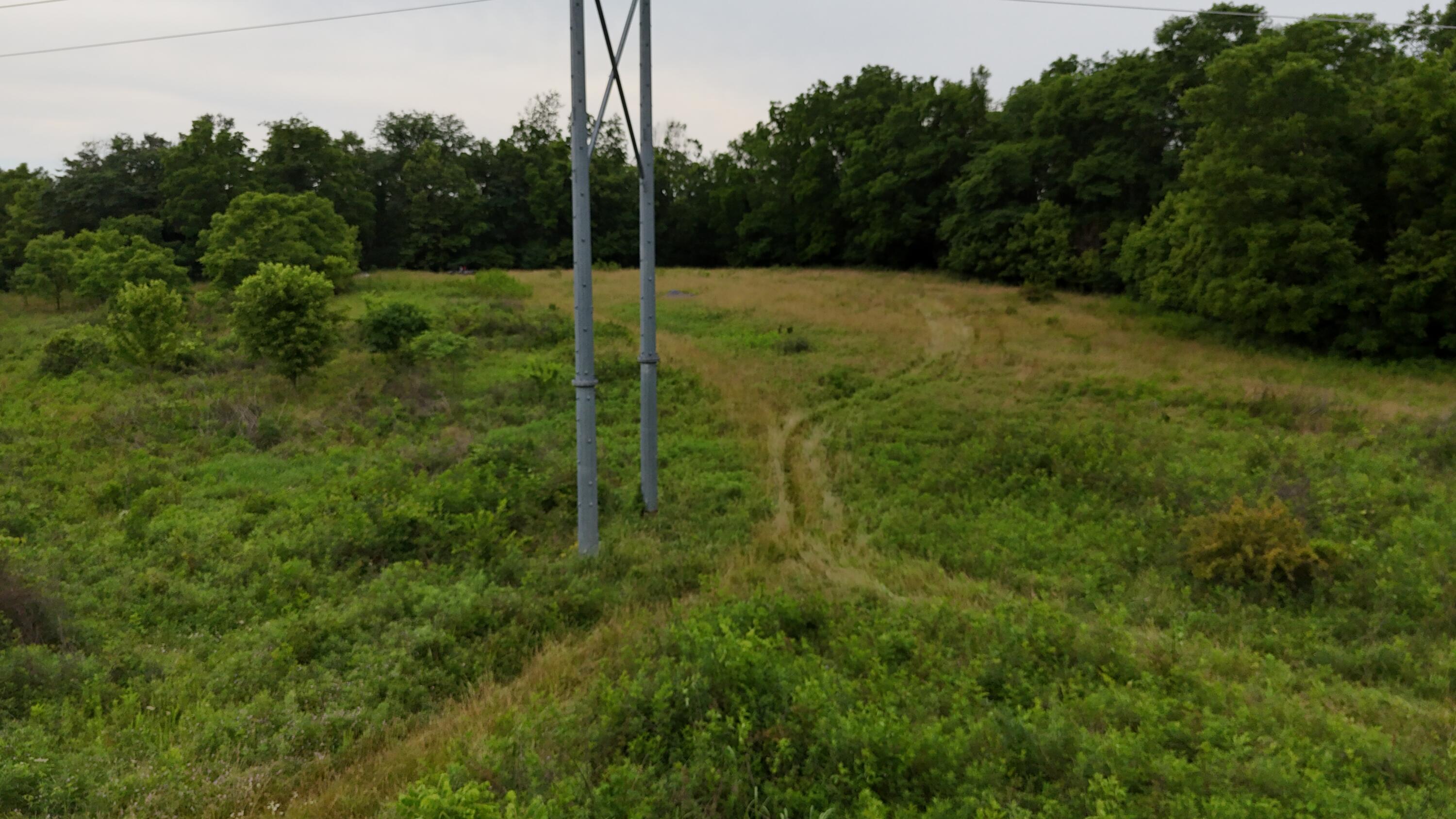 0 Highway 184 Property Photo 29