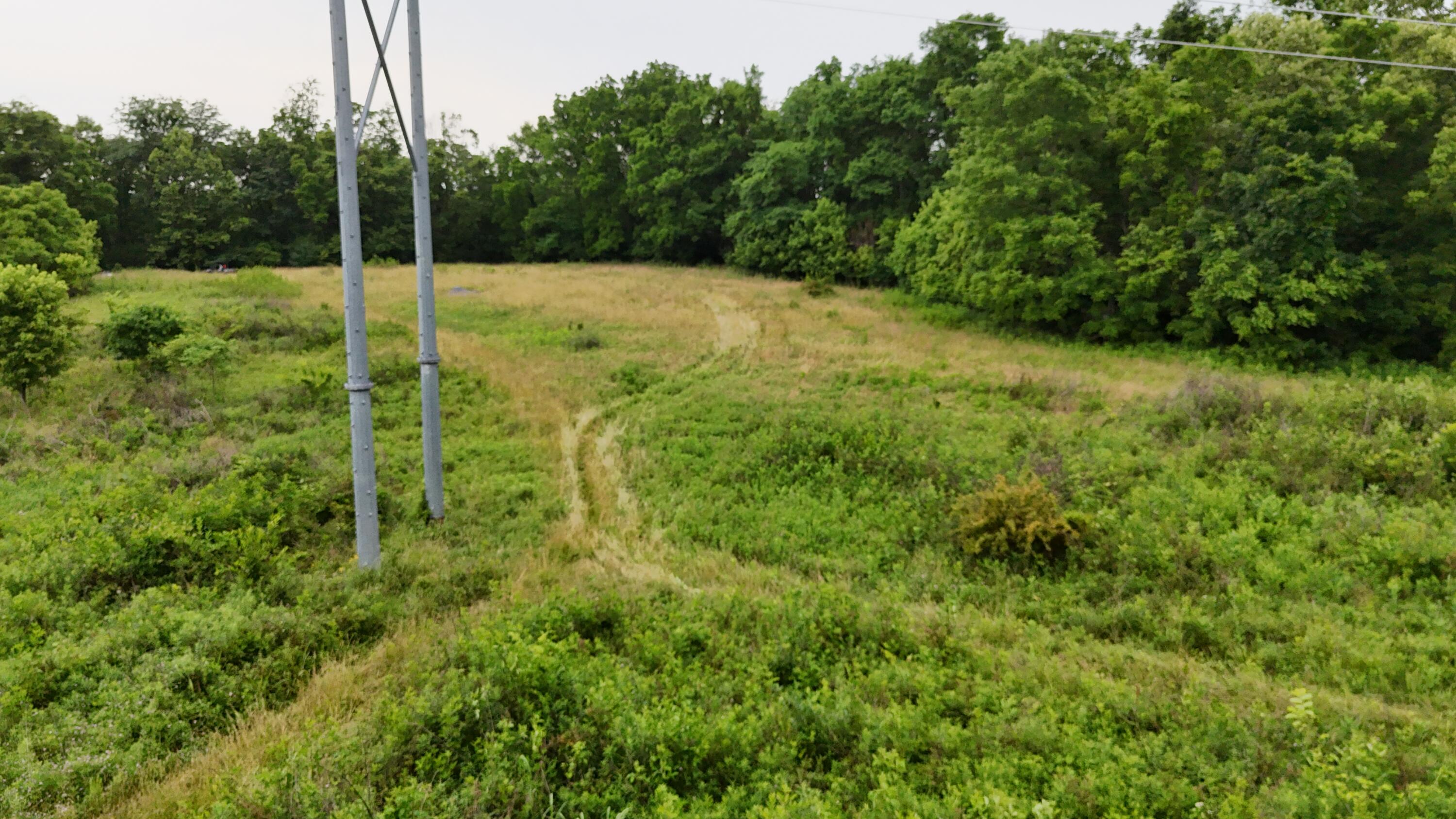 0 Highway 184 Property Photo 30